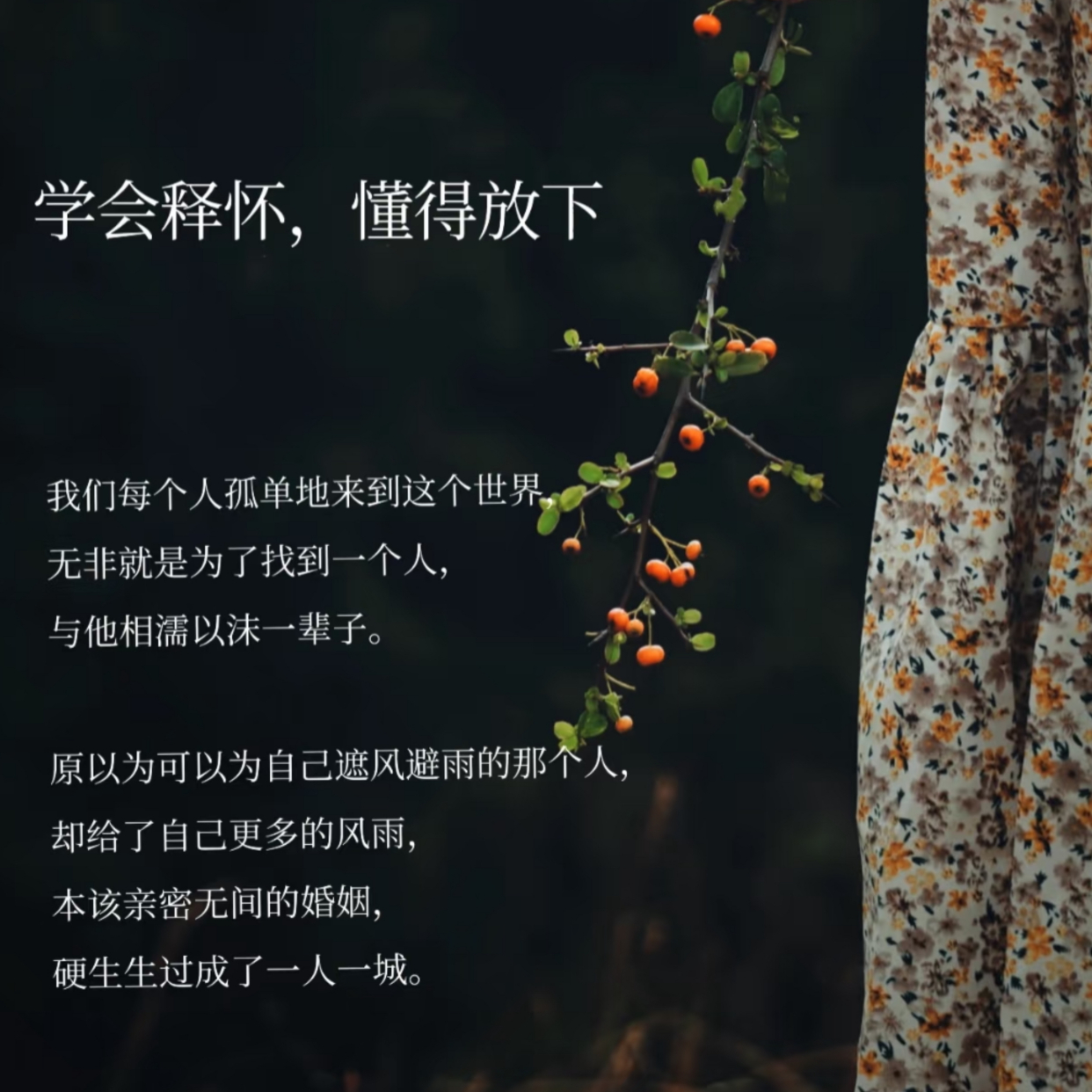 学会释怀,懂得放下