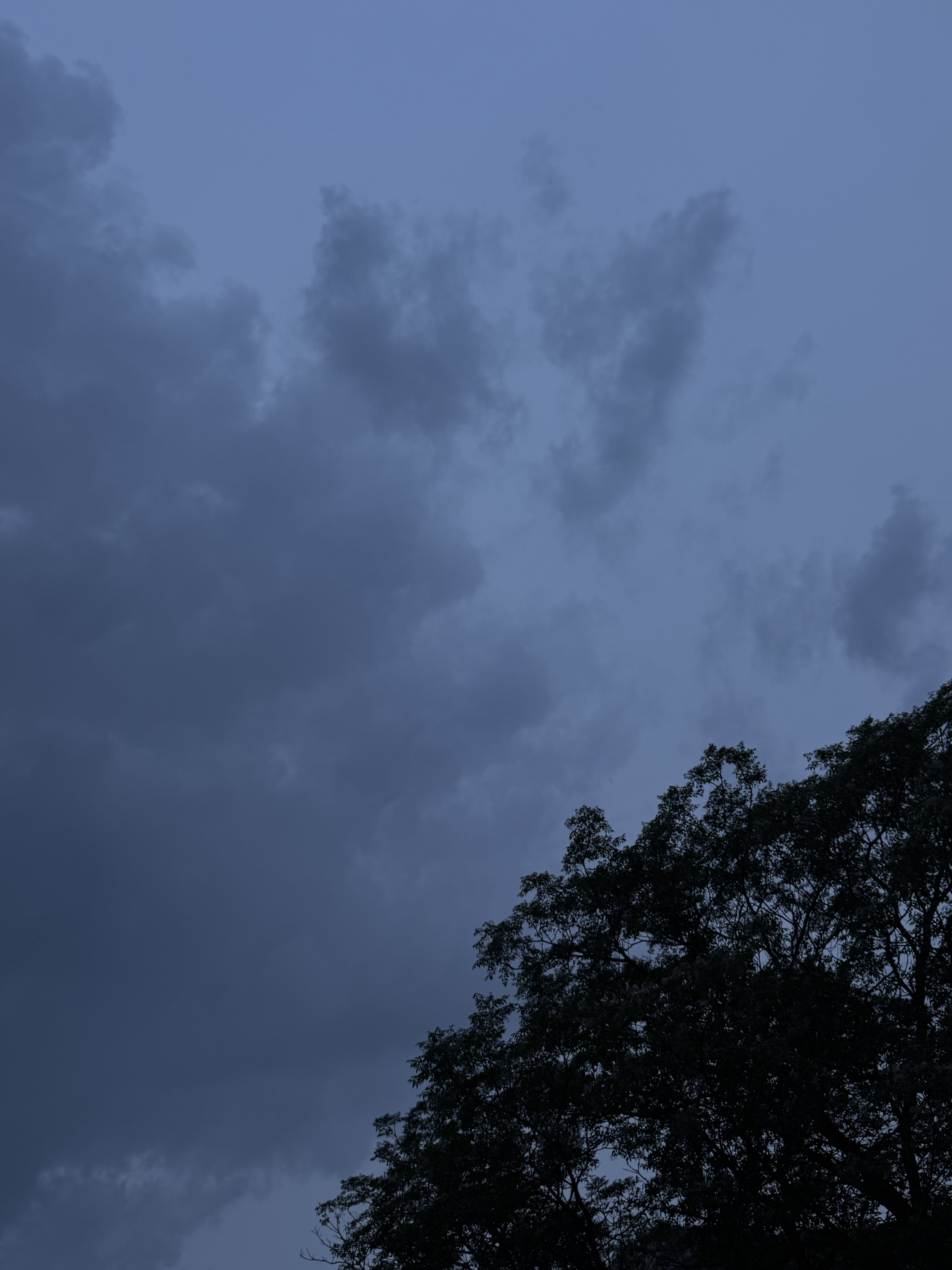 回首向来萧瑟处归去也无风雨也无晴
