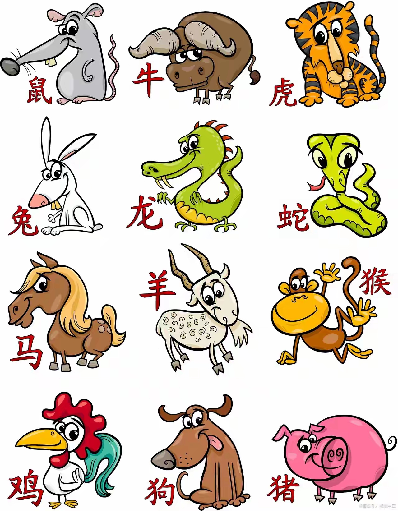 生肖运势稳定的动物排名(运势最旺的四大生肖)