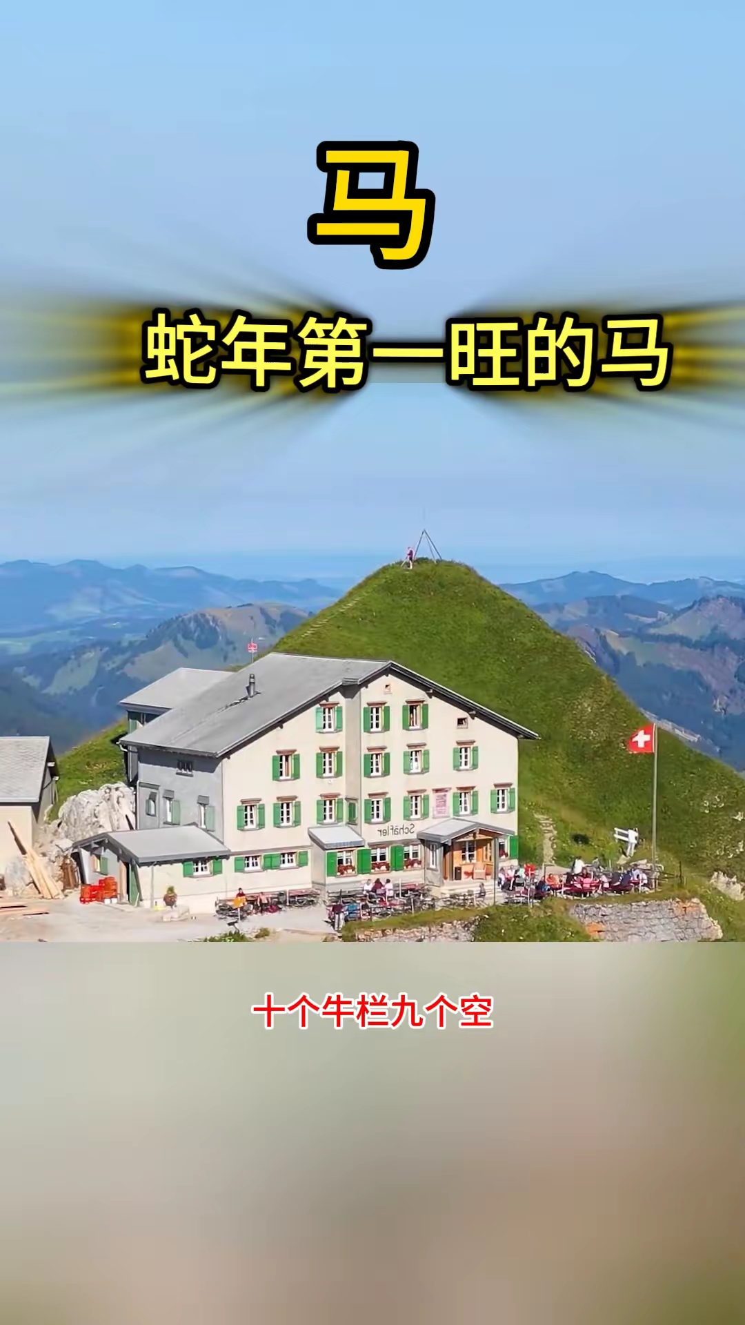 马蛇生肖今年运势如何(属马2022年运势及运程2022年属蛇人的全年运势)