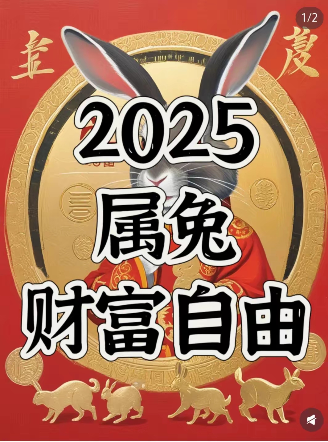 兔年生肖蛇运势解说大全(属兔蛇人2021年的运势及运程)