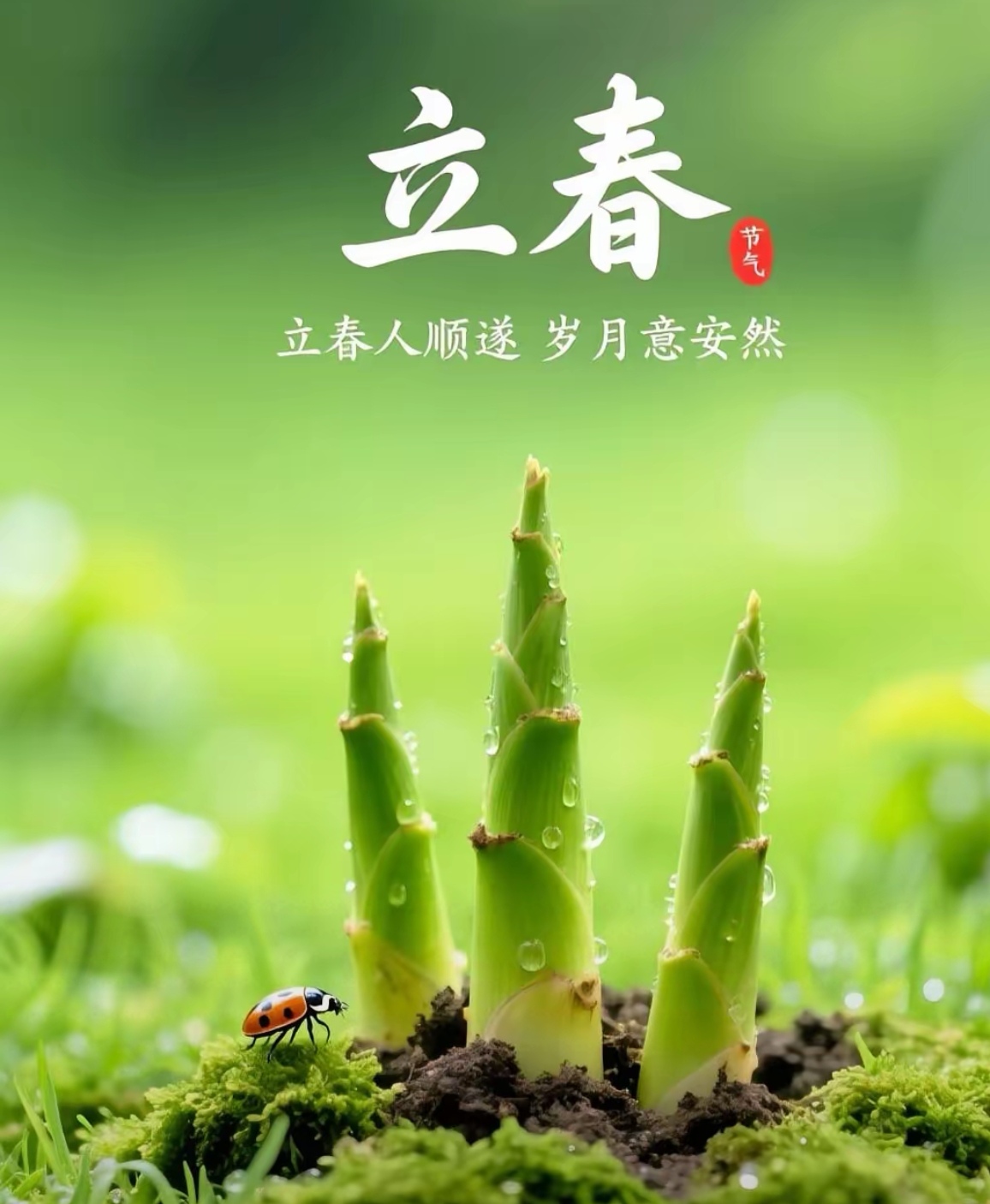 我这人吧就有点忍不住想说道说道
