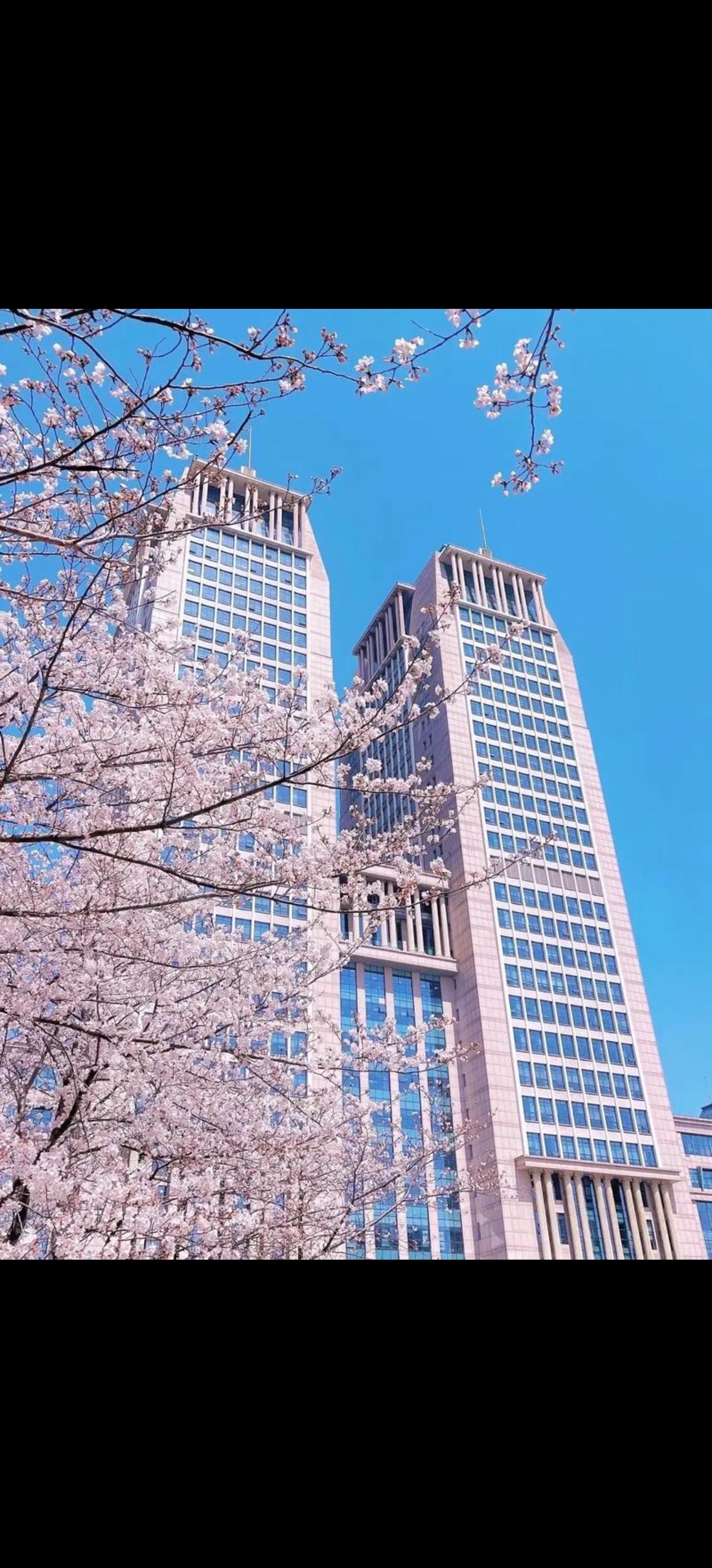 复旦大学壁纸励志高清复旦复旦大学门口壁纸复旦蓝复旦大学法学院壁纸