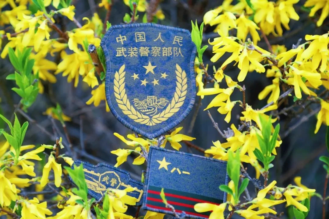 桃花灼灼在官兵武警轮转圈21式武警新式臂章长春武警支队武警忠诚背景