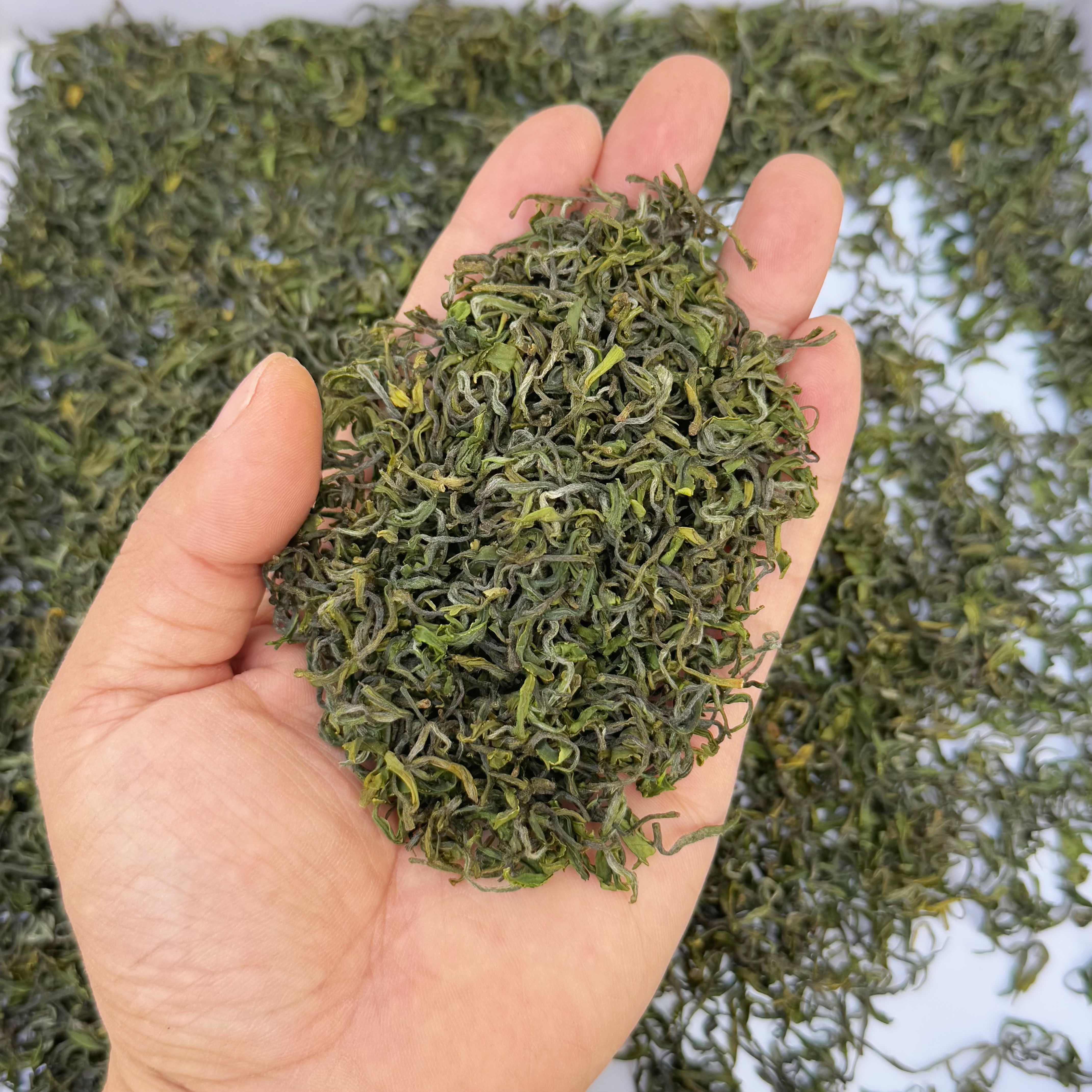 这款松阳香茶是我们家品质最好的一款了,就这两天刚做出来的,找我们