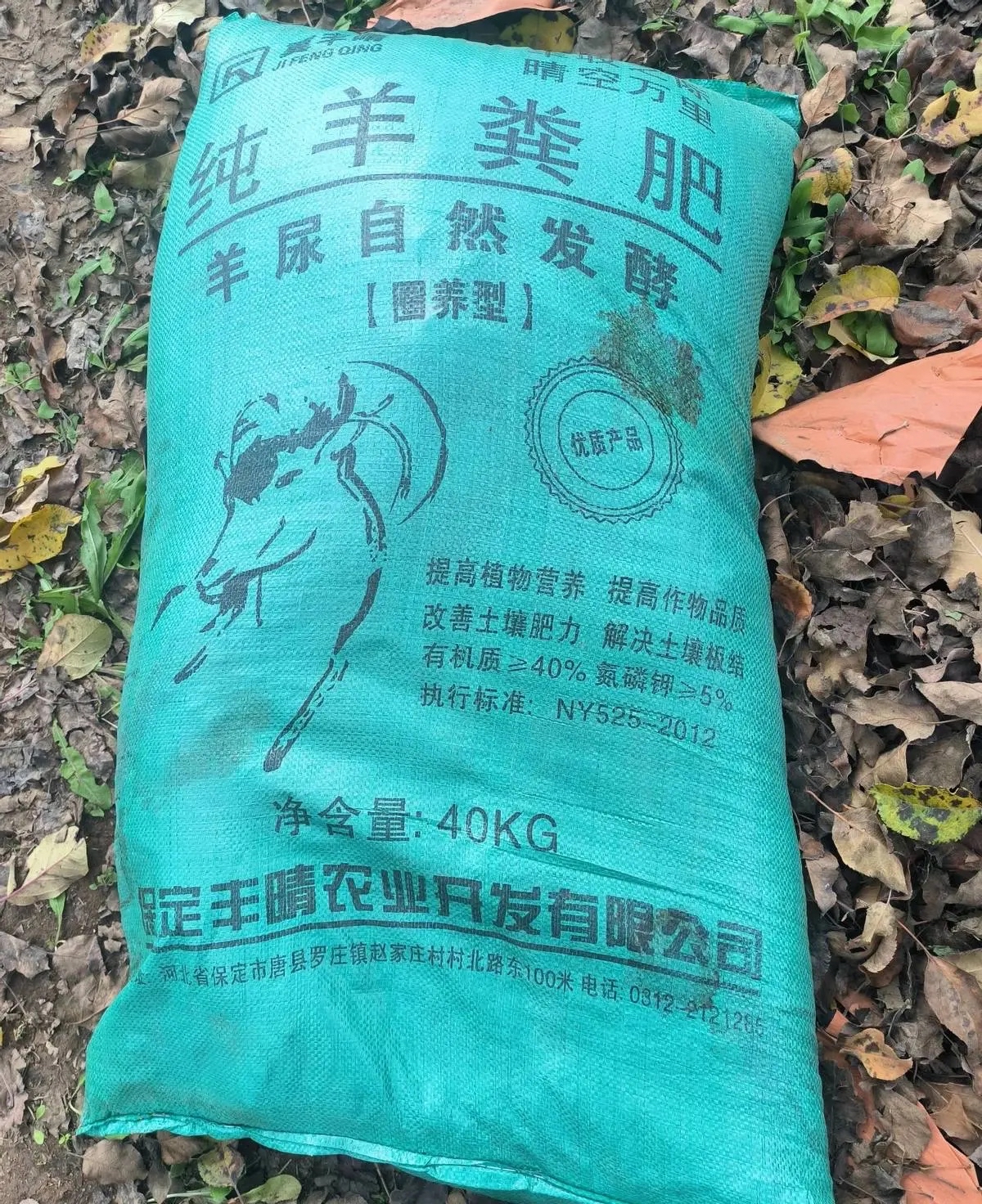 小型养殖创业好项目(小型养殖业什么最赚钱)