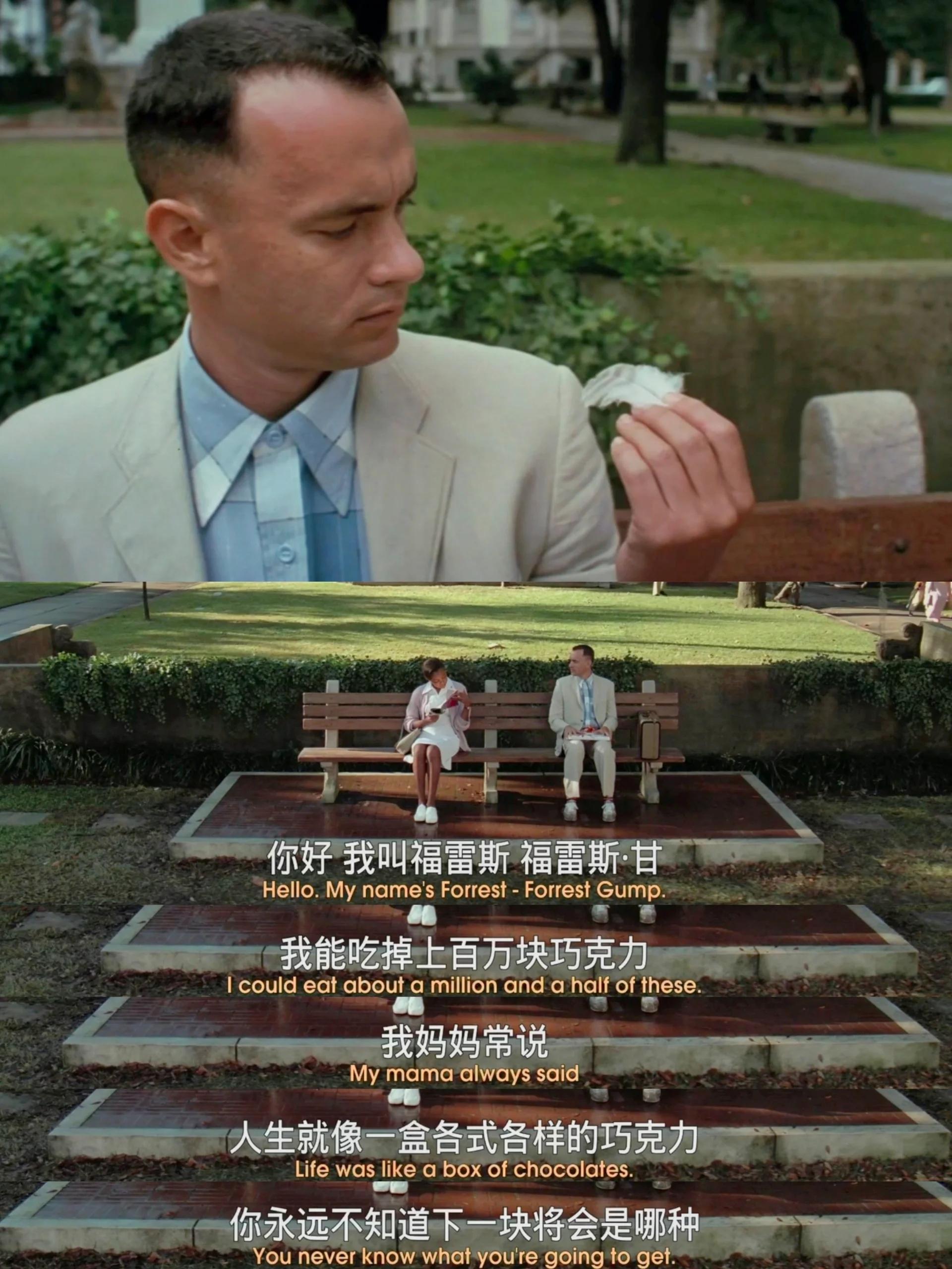 微风中,一根洁白羽毛打着旋儿飘落在长椅旁,开启了阿甘的故事