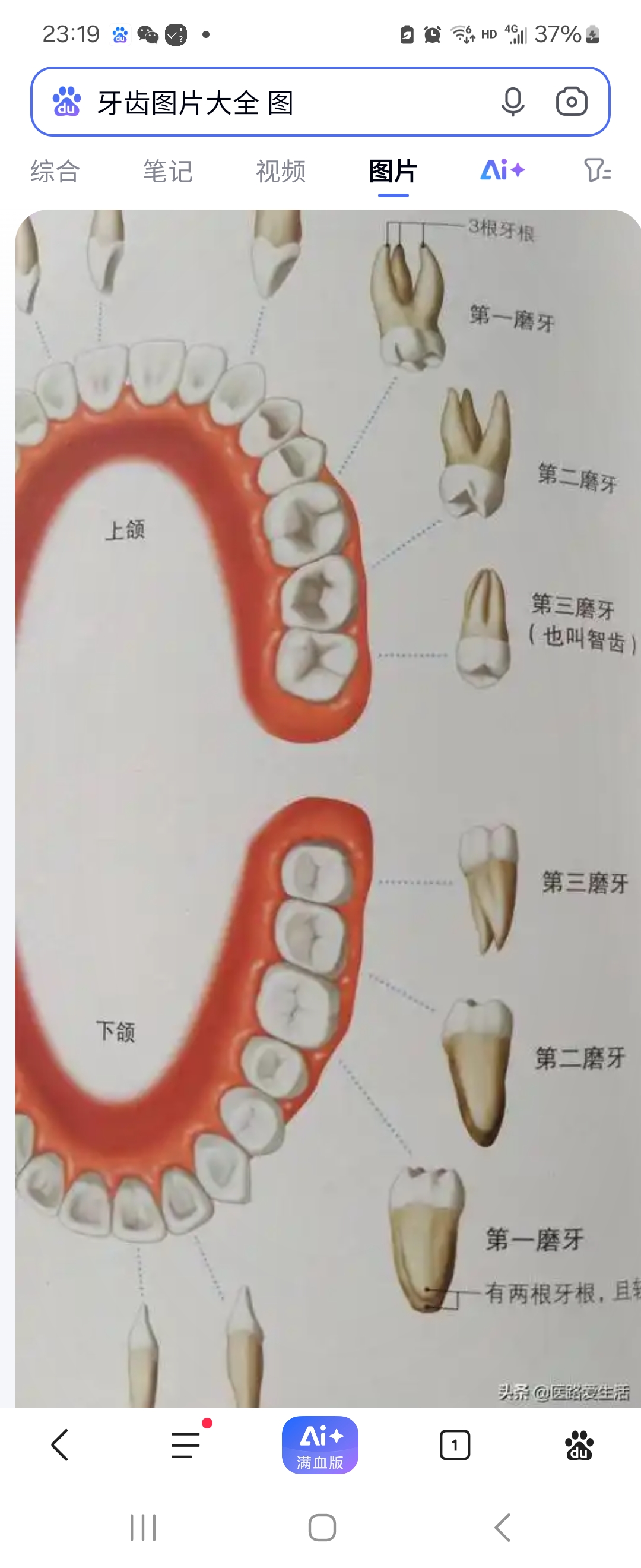 然而出人意料的是,医生出现严重操作失误,将一颗原本健康的牙齿拔除