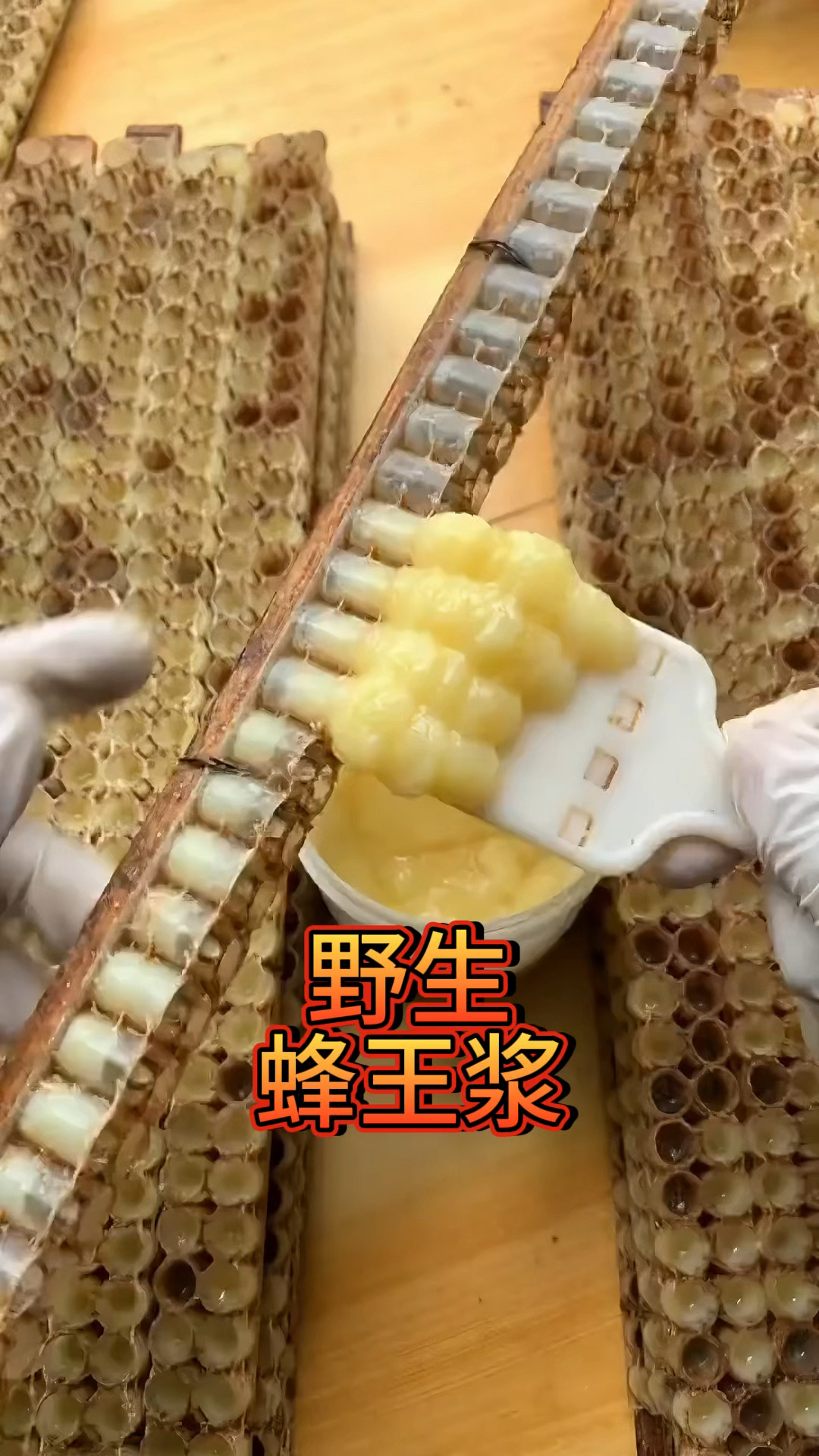 野生蜂王浆:采自天然,每一滴都是珍品