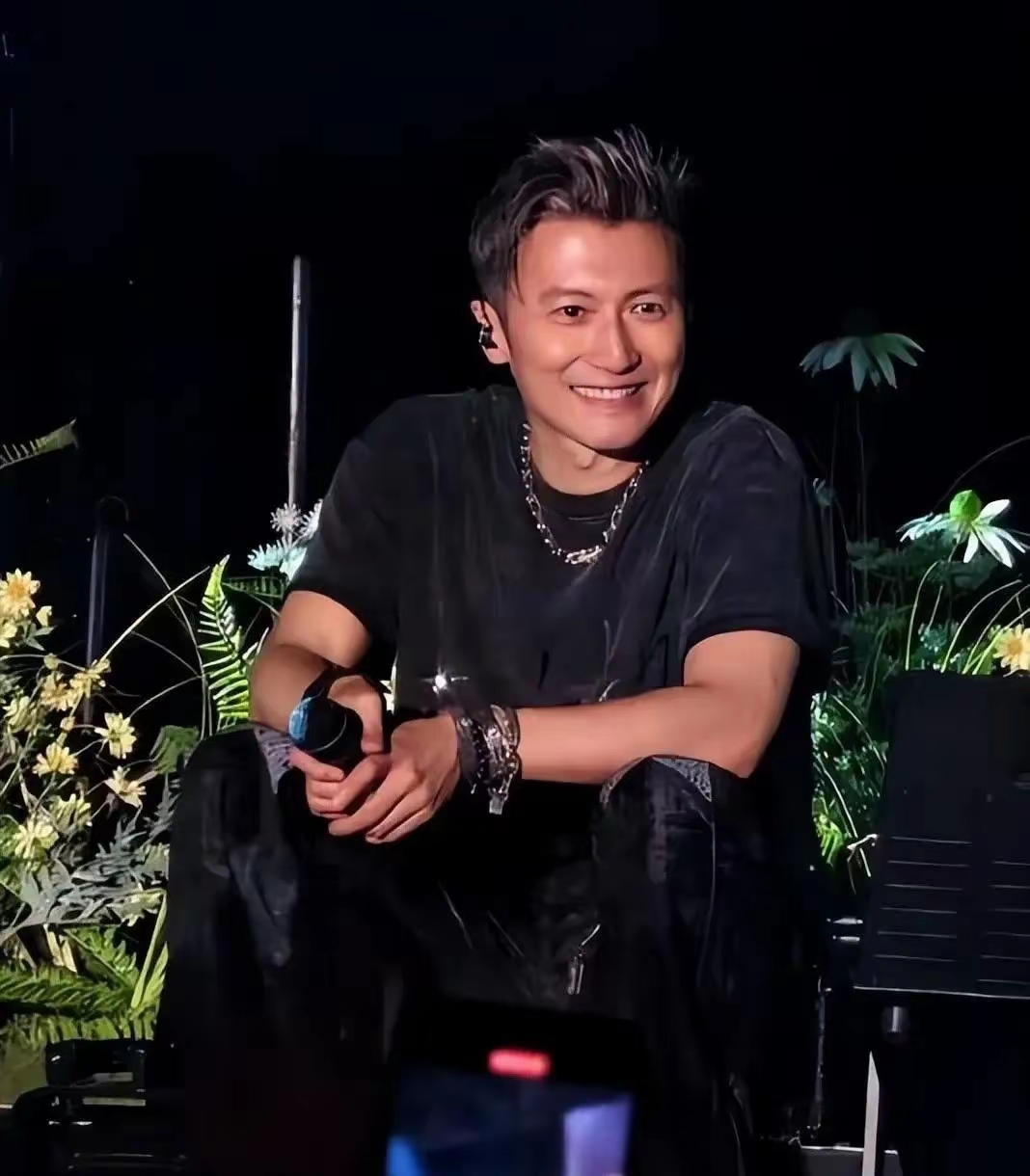 谢霆锋演唱会风格大变样 谢霆锋近期开唱,一身普通黑色短袖从头穿到尾
