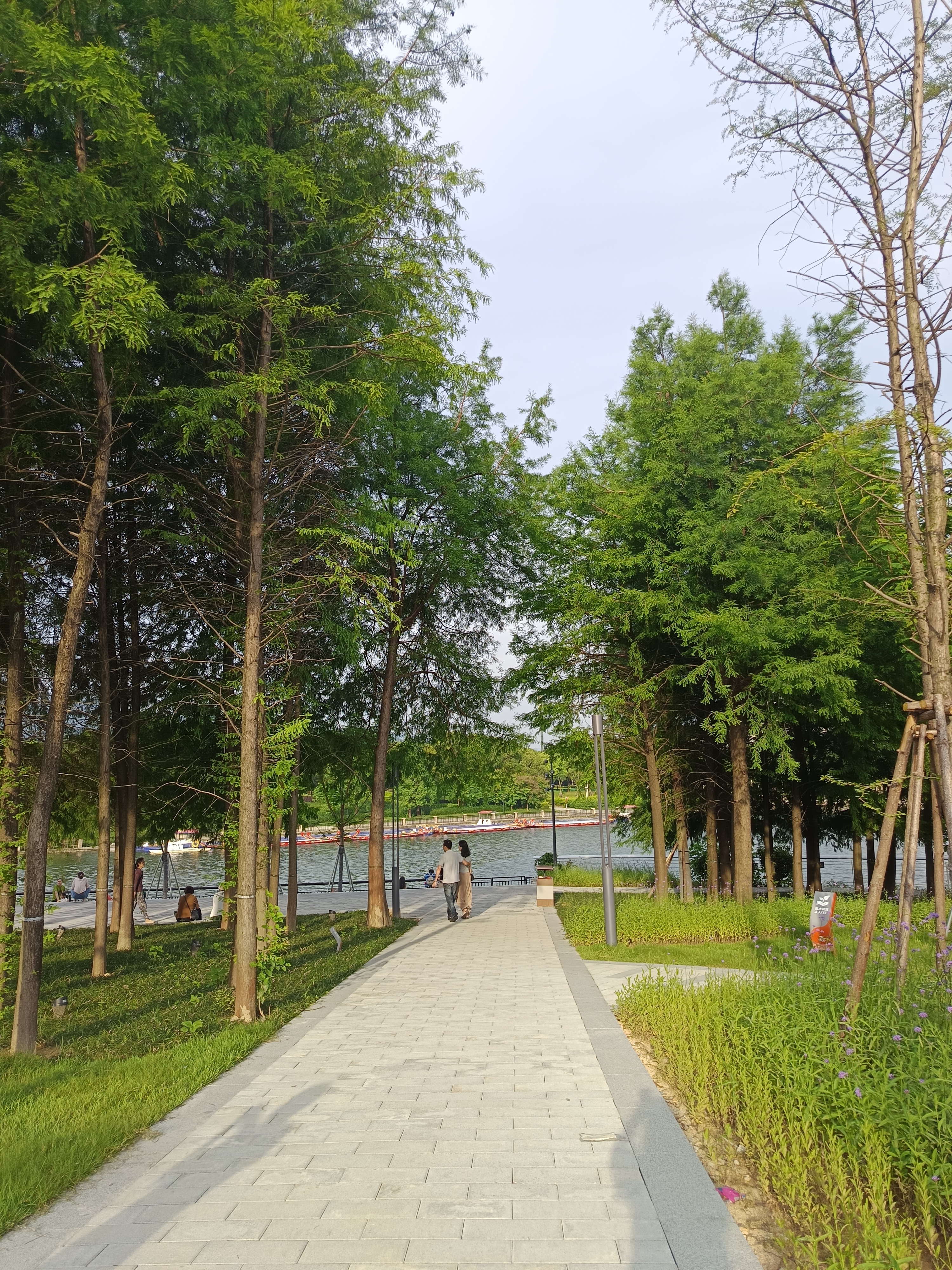 福州龙舟主题公园,位于国际会展中心附近,就是每年国际龙舟赛的林浦