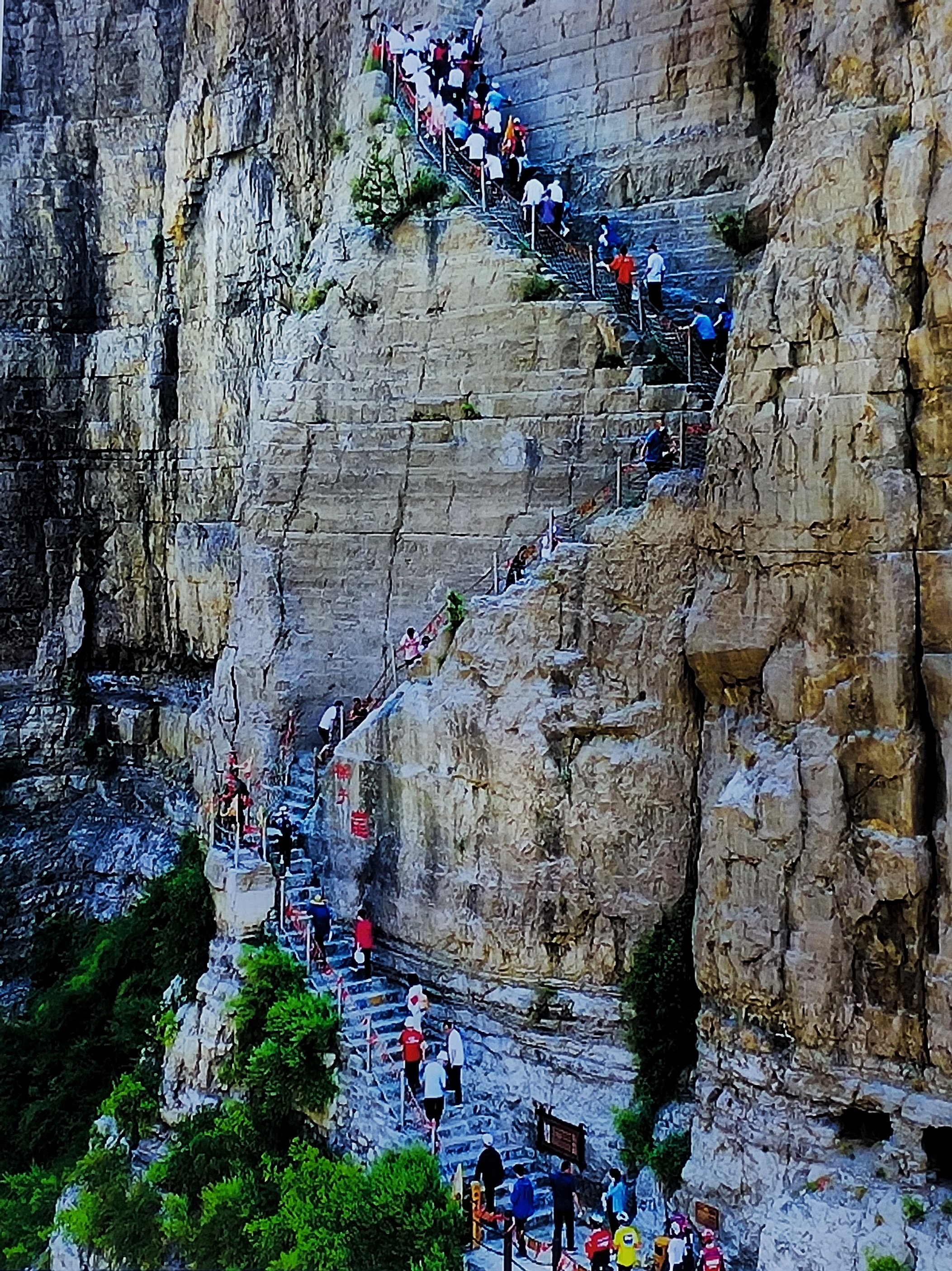 站在大梯子崖顶往下看山壁陡峭如削垂直于黄河东岸高度有120余米