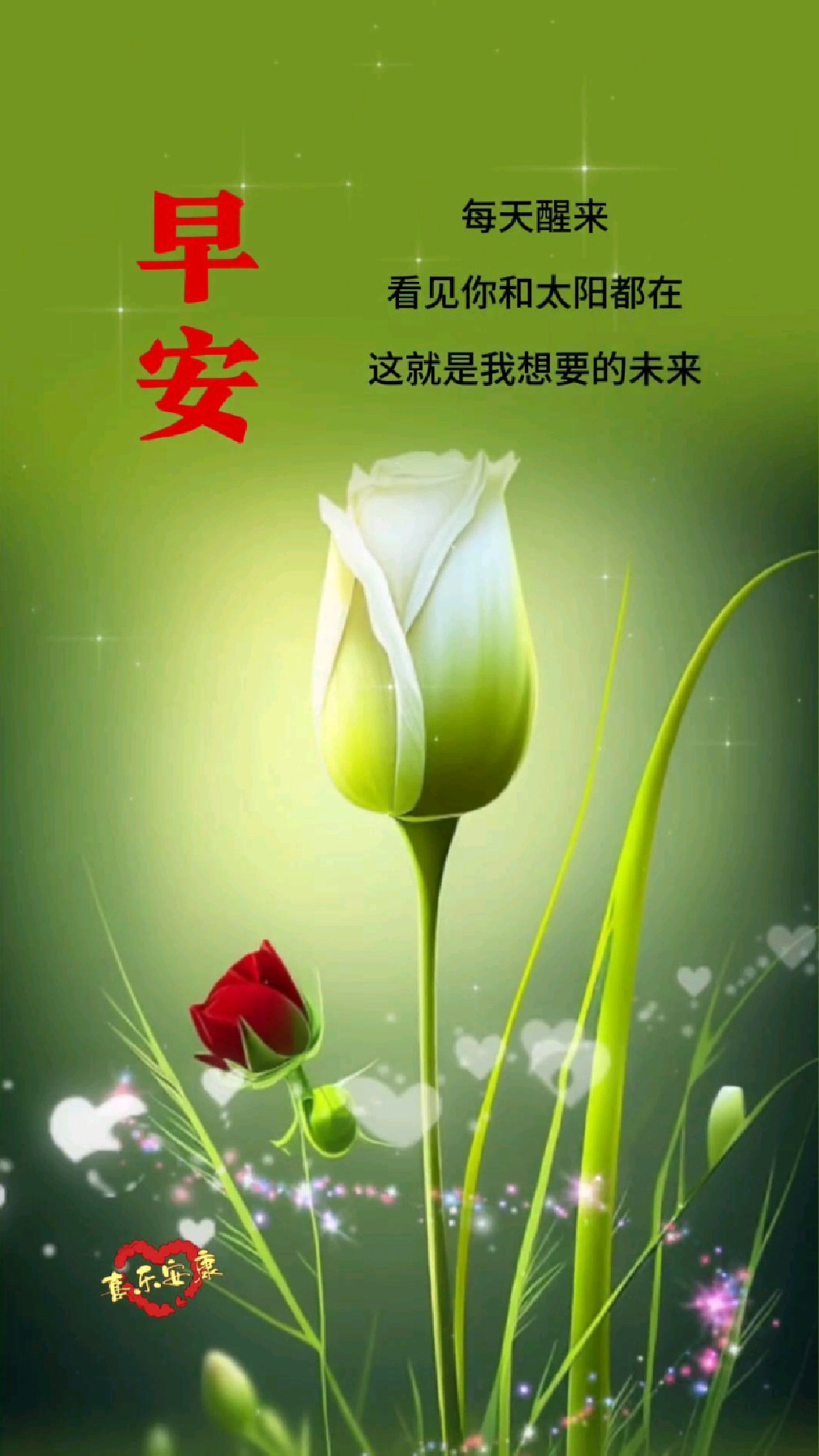清晨醒来,看到你和太阳都在,这就是我想要的未来!