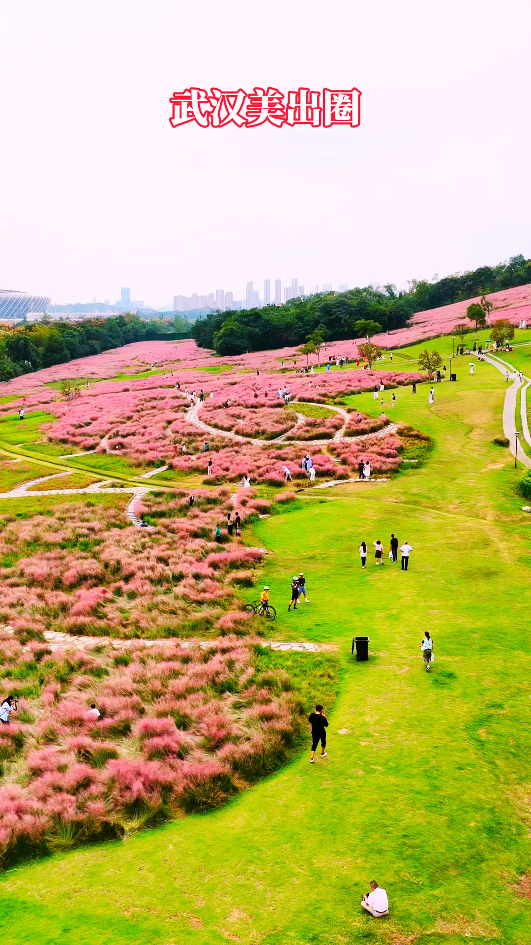 火出圈的武汉二妃山花海吸引国内外游客前来打卡