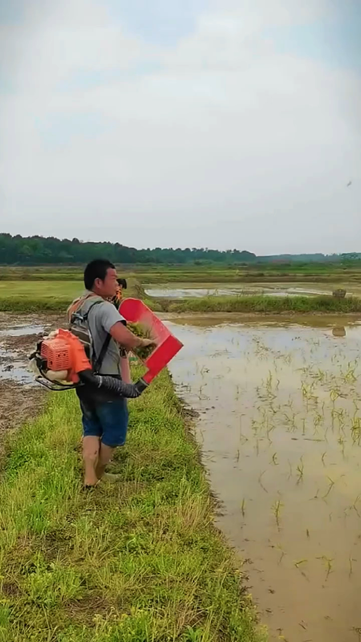 这个工具给水稻地抛秧太好使了