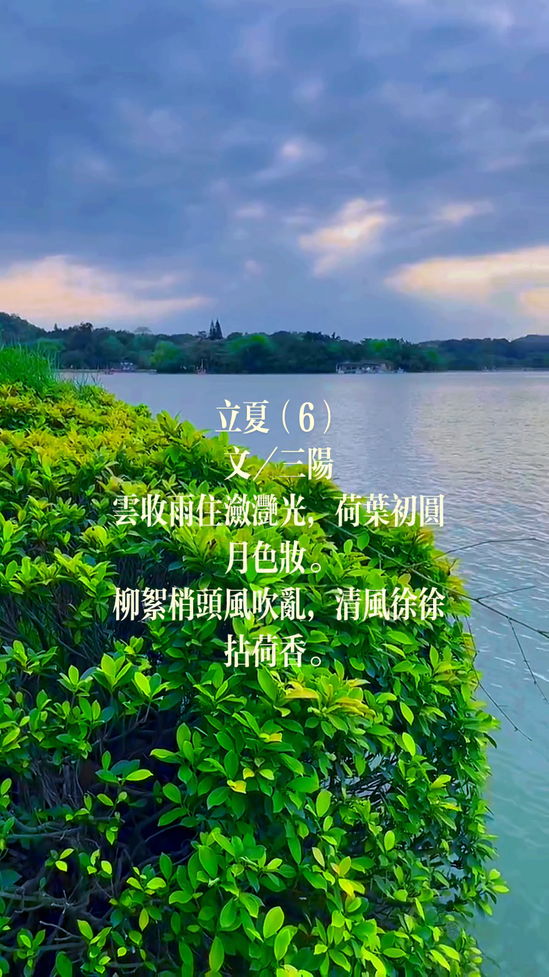 我的生活日记:立夏节气
