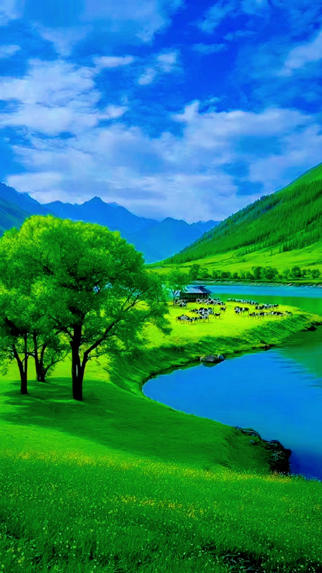 夏天,碧绿的小河,绿茵茵的草坪,嫩绿的杨柳,赏心悦目