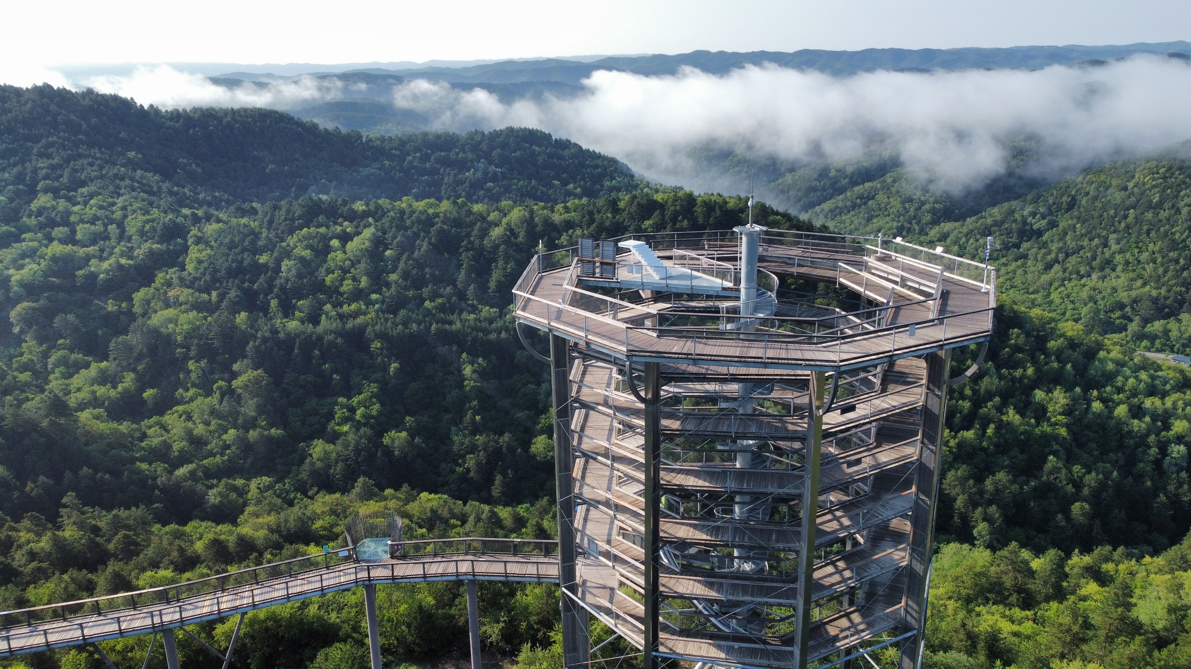 陕西延安黄龙树顶漫步