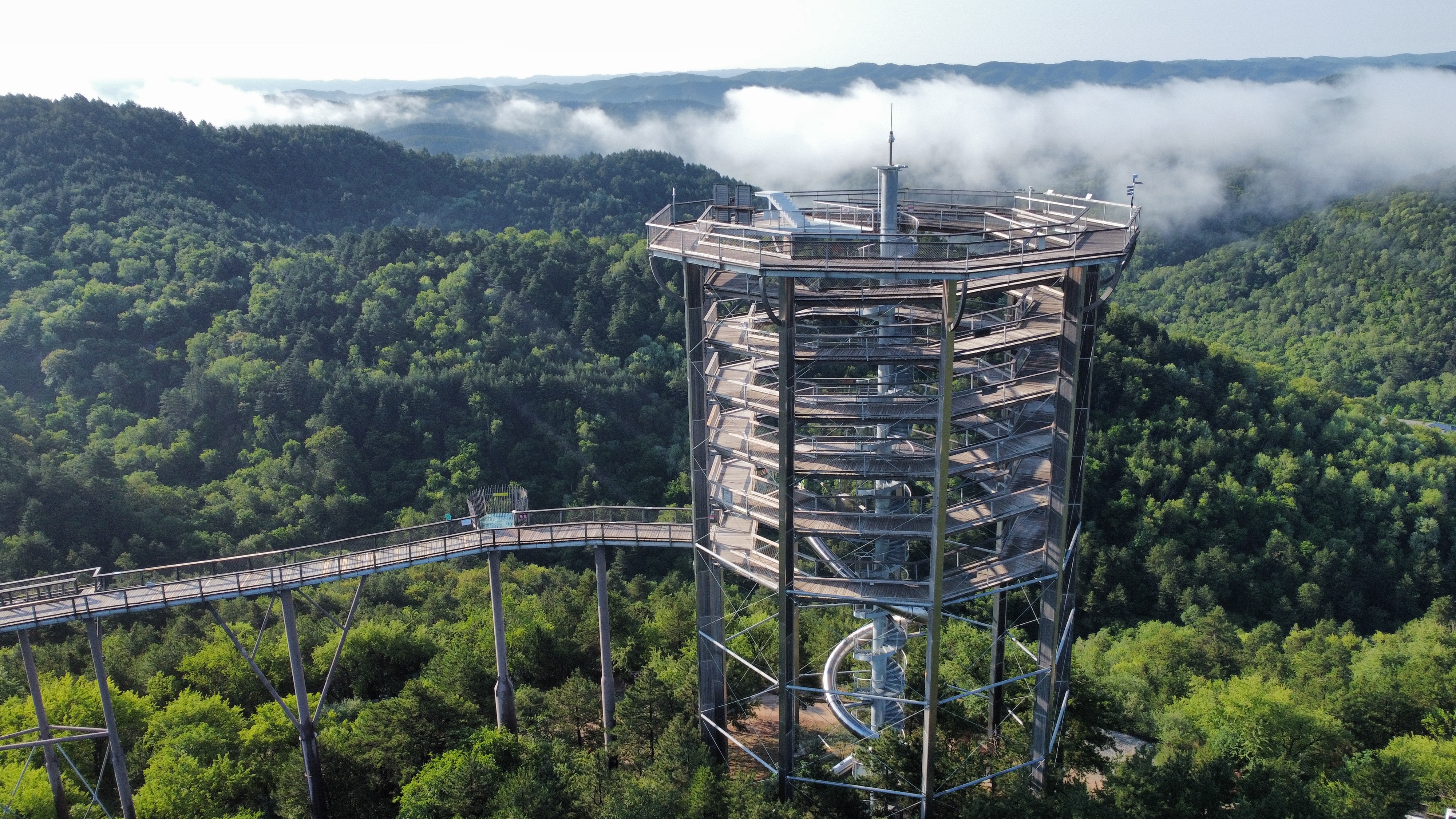 陕西延安黄龙树顶漫步