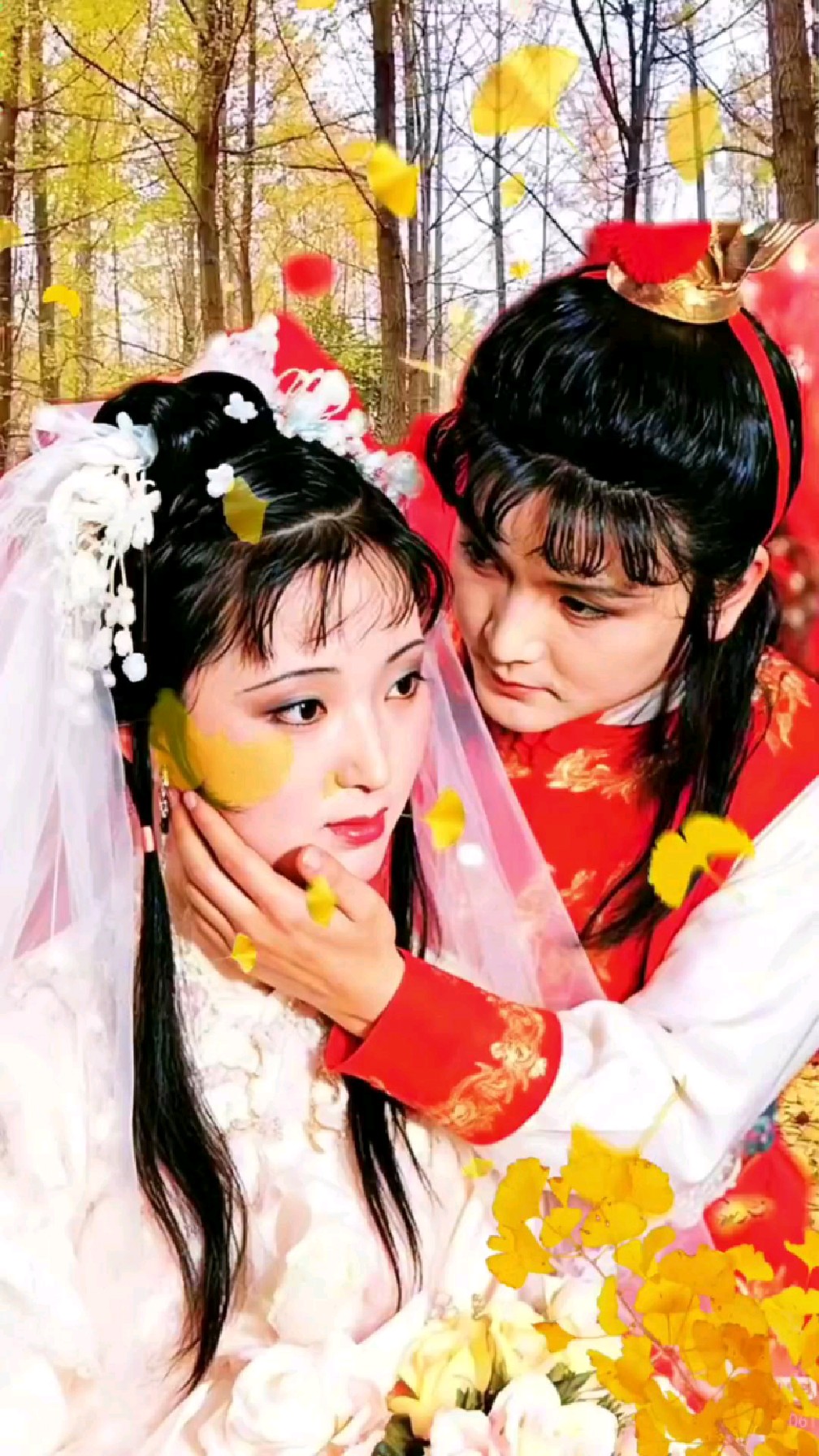 《红楼梦》贾宝玉和林黛玉