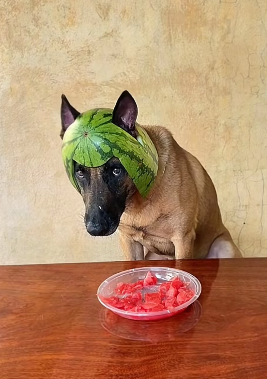 热爱生活季# 工作中,有受不尽的闲气!