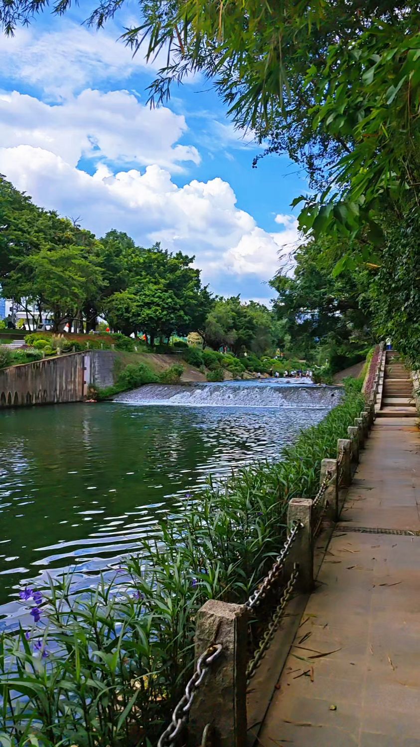 深圳美景寻踪,城市中心一条河福田河,带来多少欢乐!