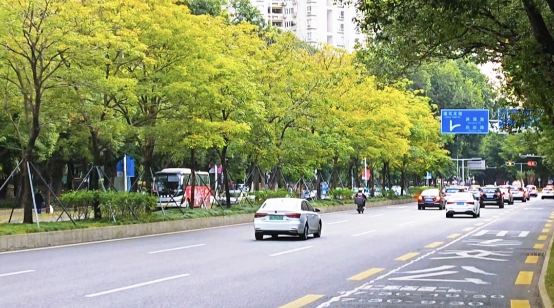 道路绿化有什么特点