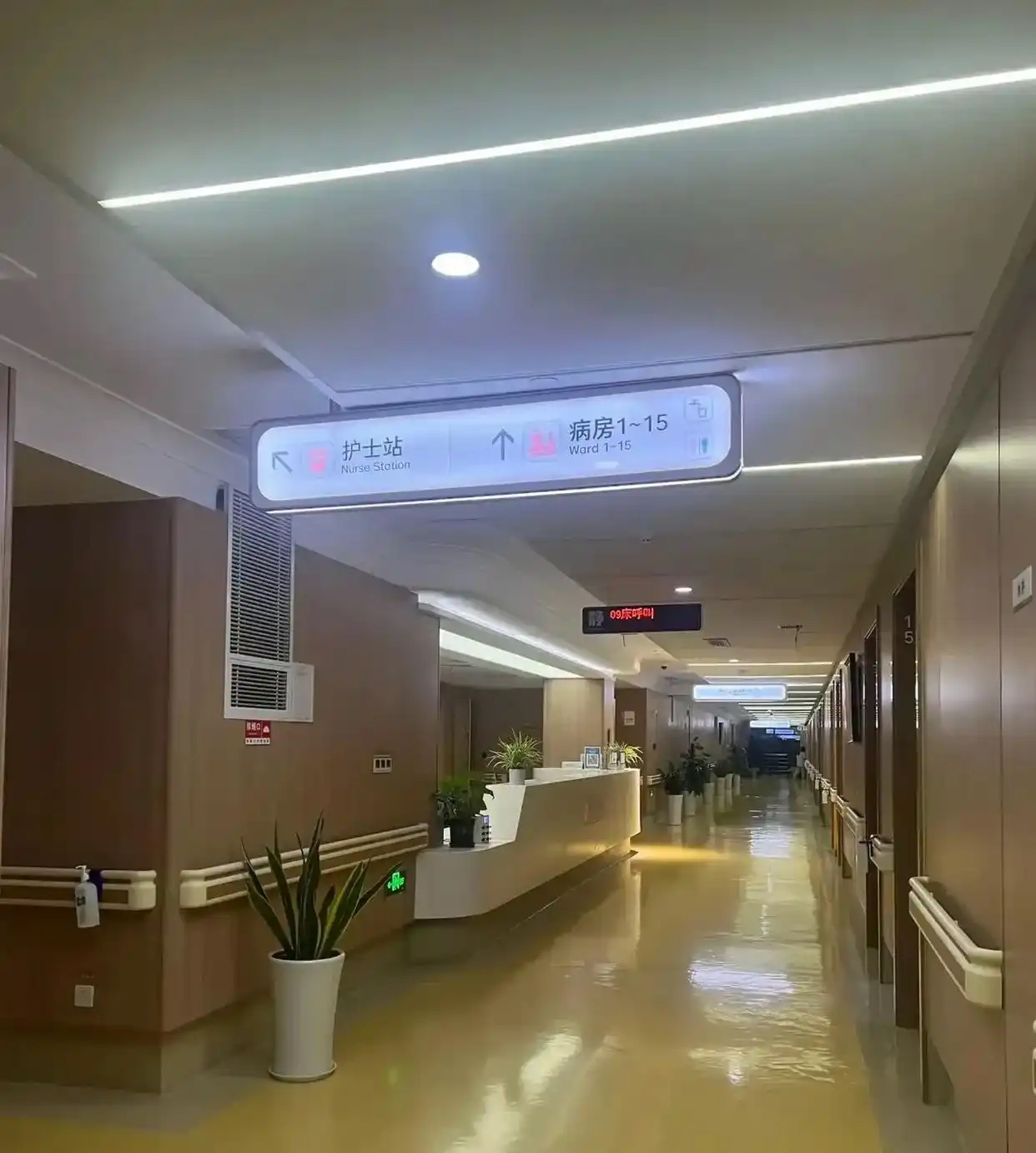 关于北京大学肿瘤医院全天陪诊含挂号缓解就医焦虑的信息 关于北京大学肿瘤医院全天陪诊含挂号缓解就医焦虑的信息