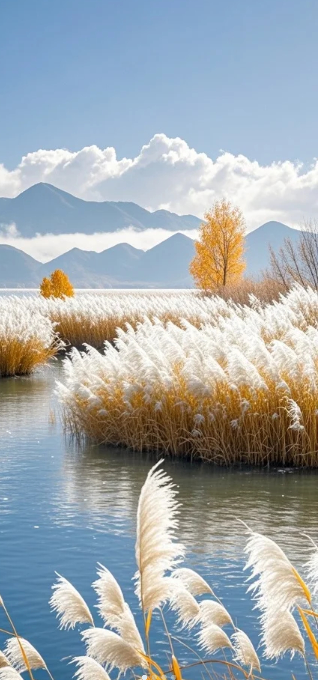 立秋的第一场旅行# 在一片宽广的水域之上,绵延三十里皆是白茫茫的