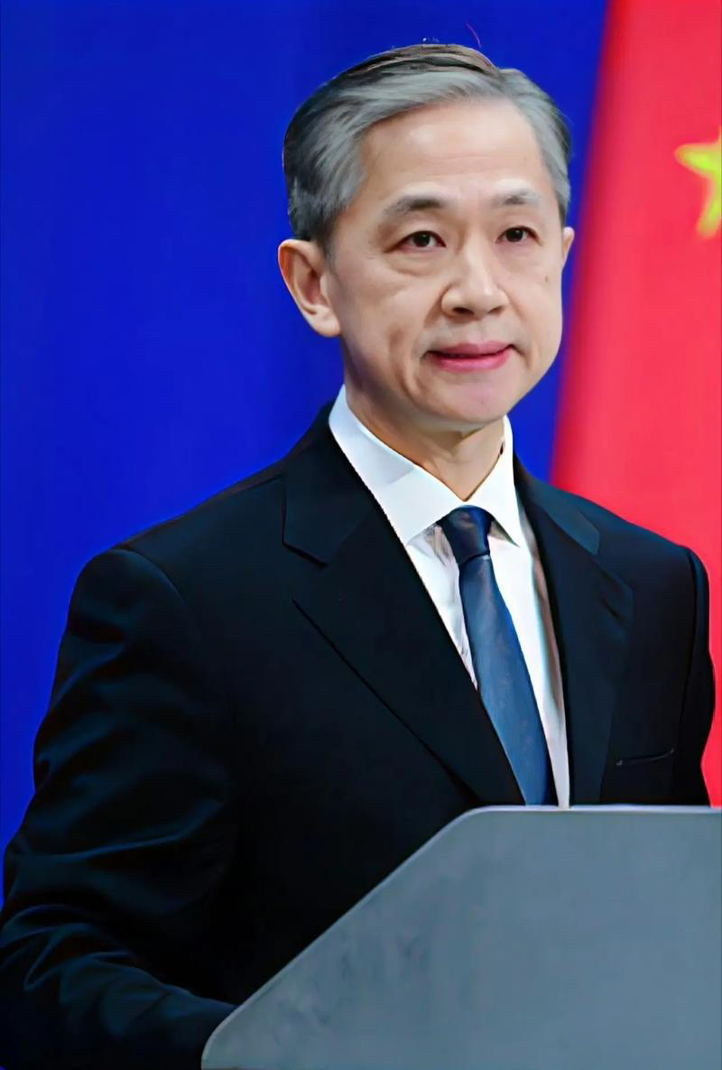 官中国外交官霸气照片五常外交官汪文斌外交官美籍华人汪世猛简历图片