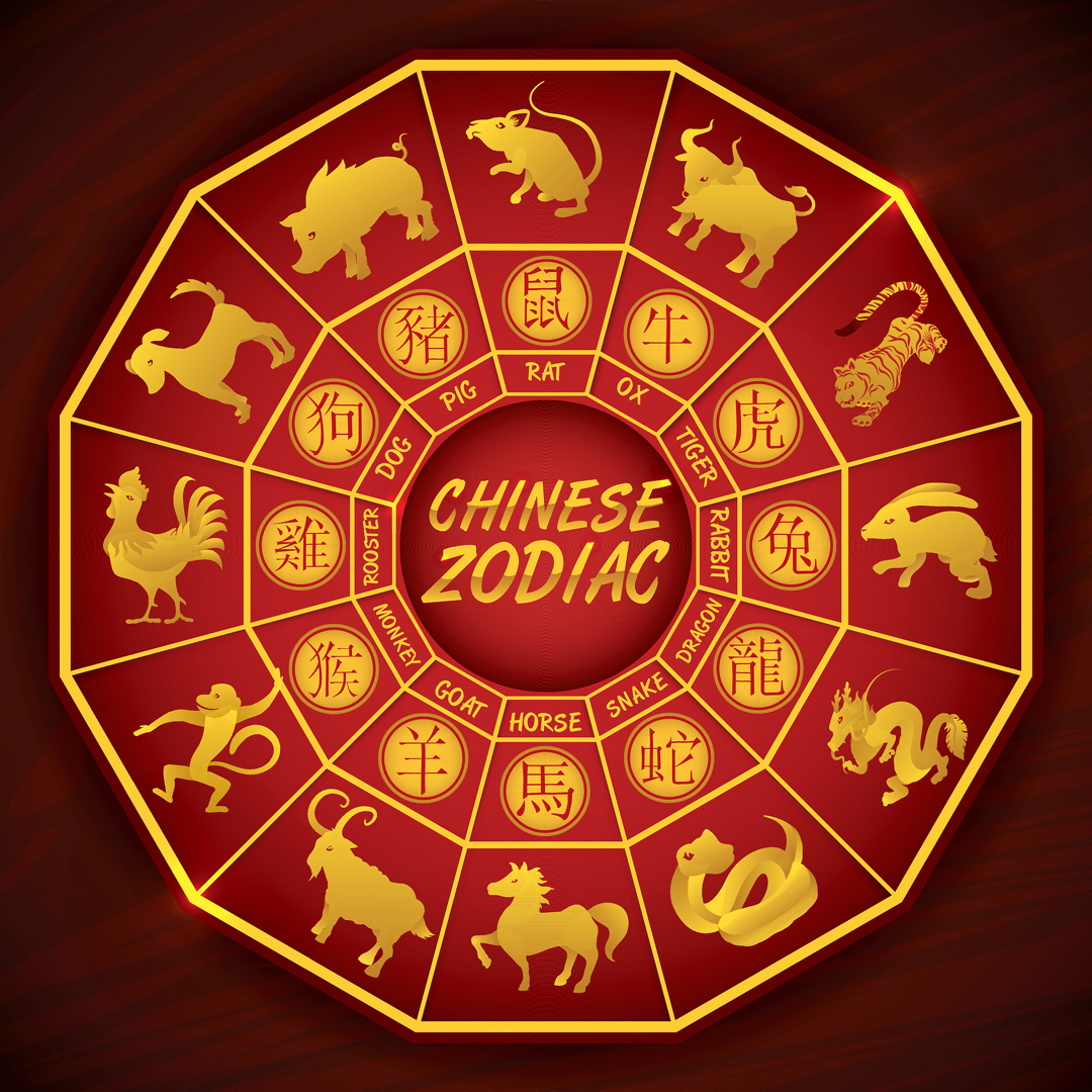 生肖牛的星盘运势(生肖牛的运势方位)