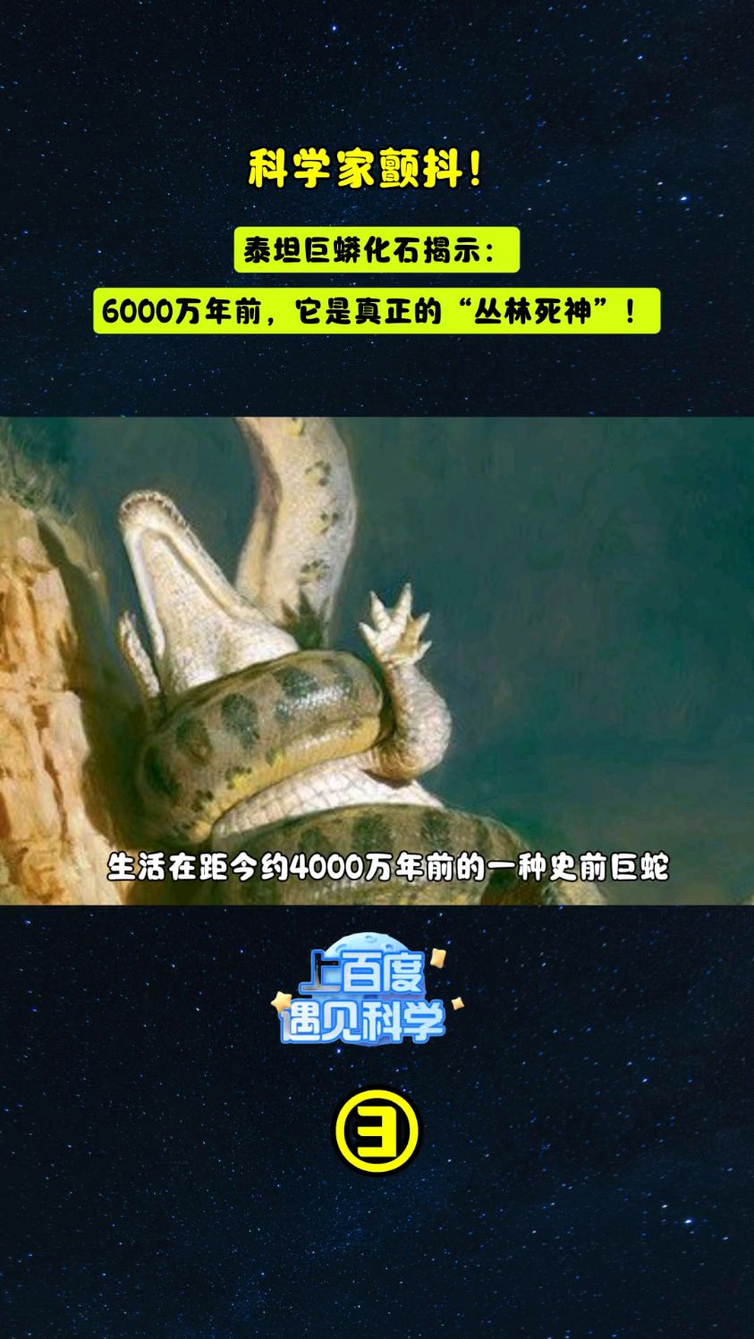 泰坦巨蟒化石揭示:6000万年前,它是真正的"丛林死神"!