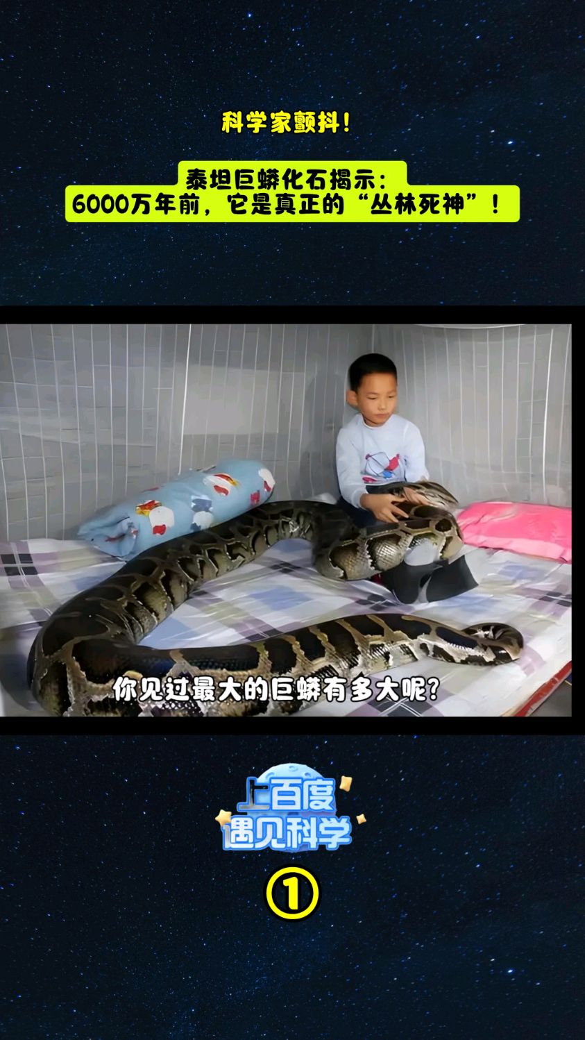 泰坦巨蟒化石揭示:6000万年前,它是真正的"丛林死神"!