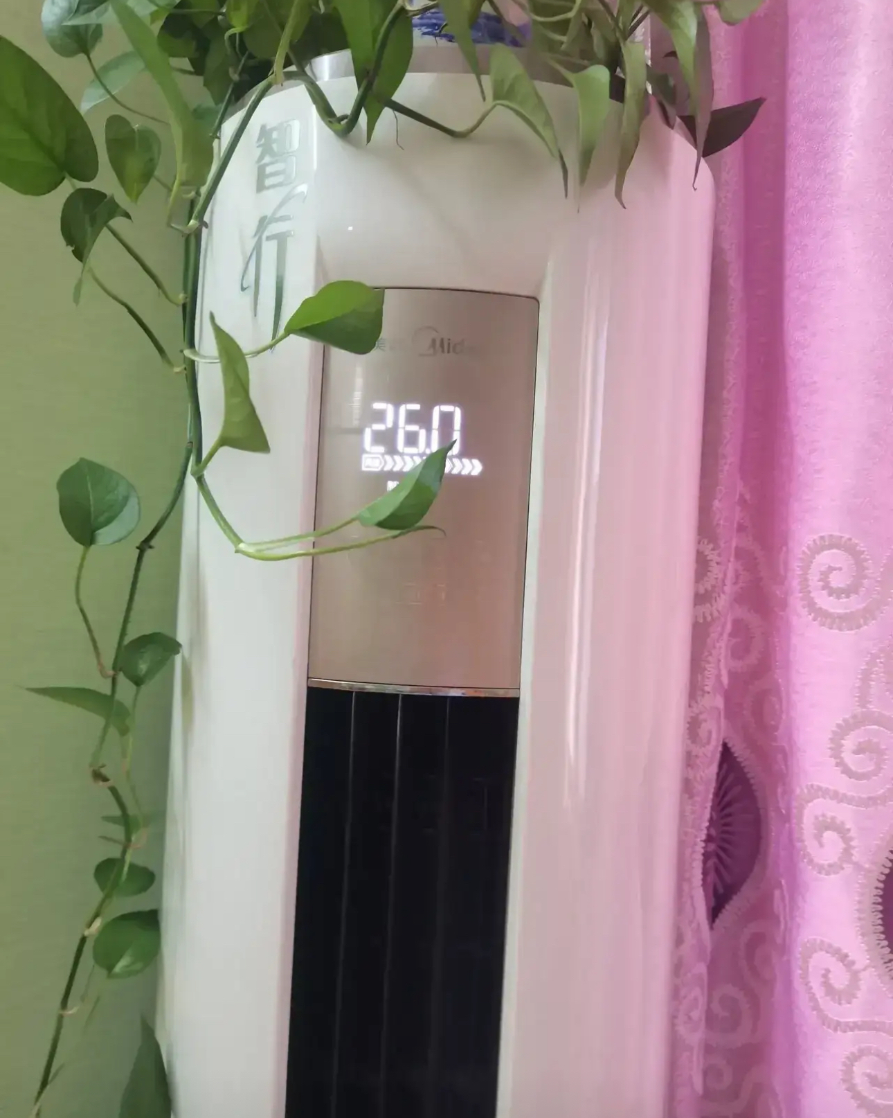 瞬间傻眼,客厅的空调居然一直开着,屋里凉飕飕的,可我心里却慌得不行