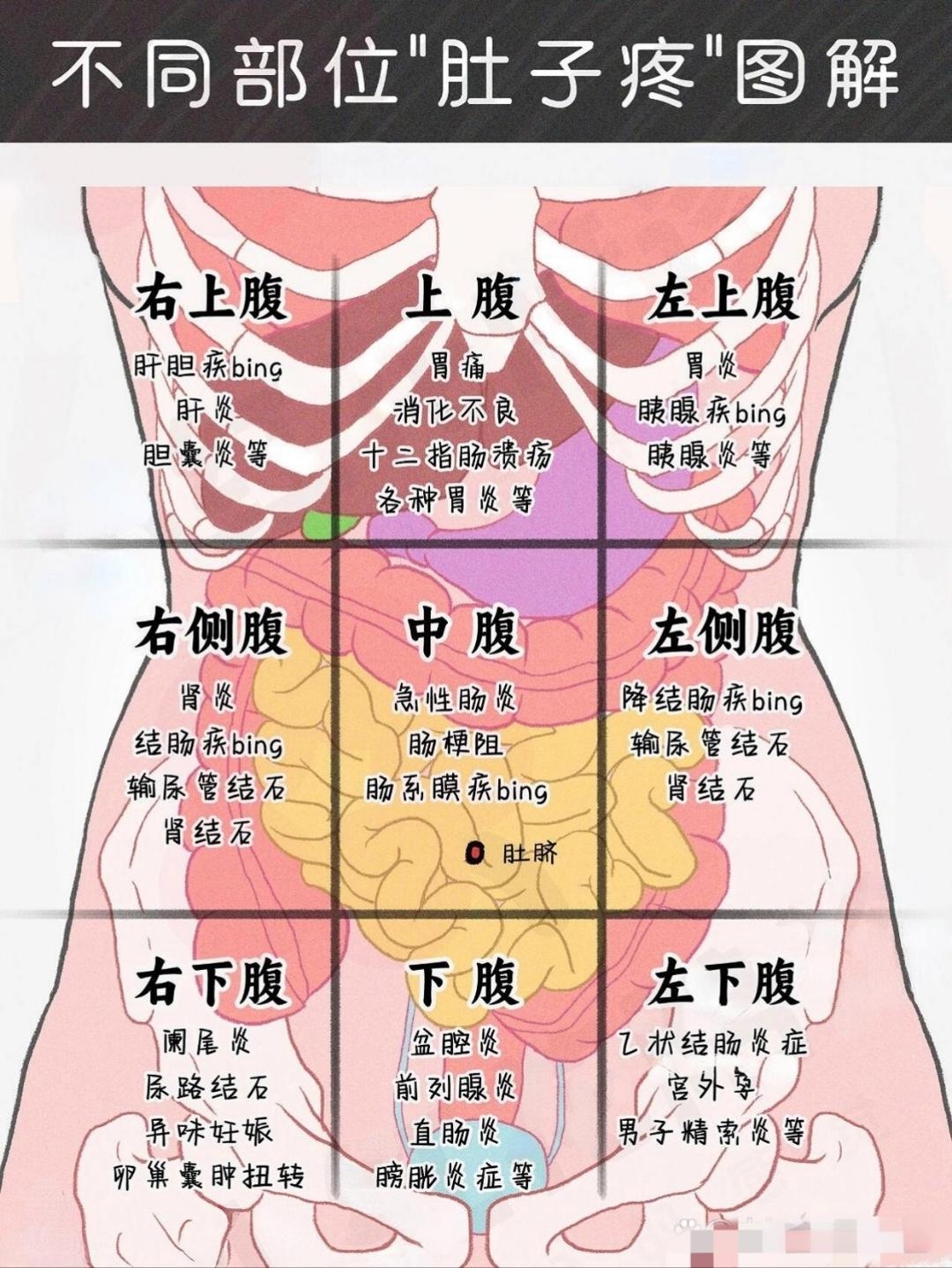 不同部位的肚子疼都代表什么问题?中医一张图讲明白