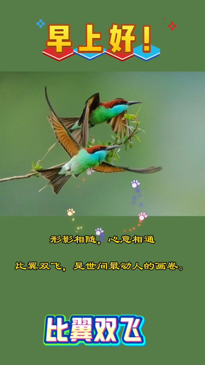 早上好!比翼双飞