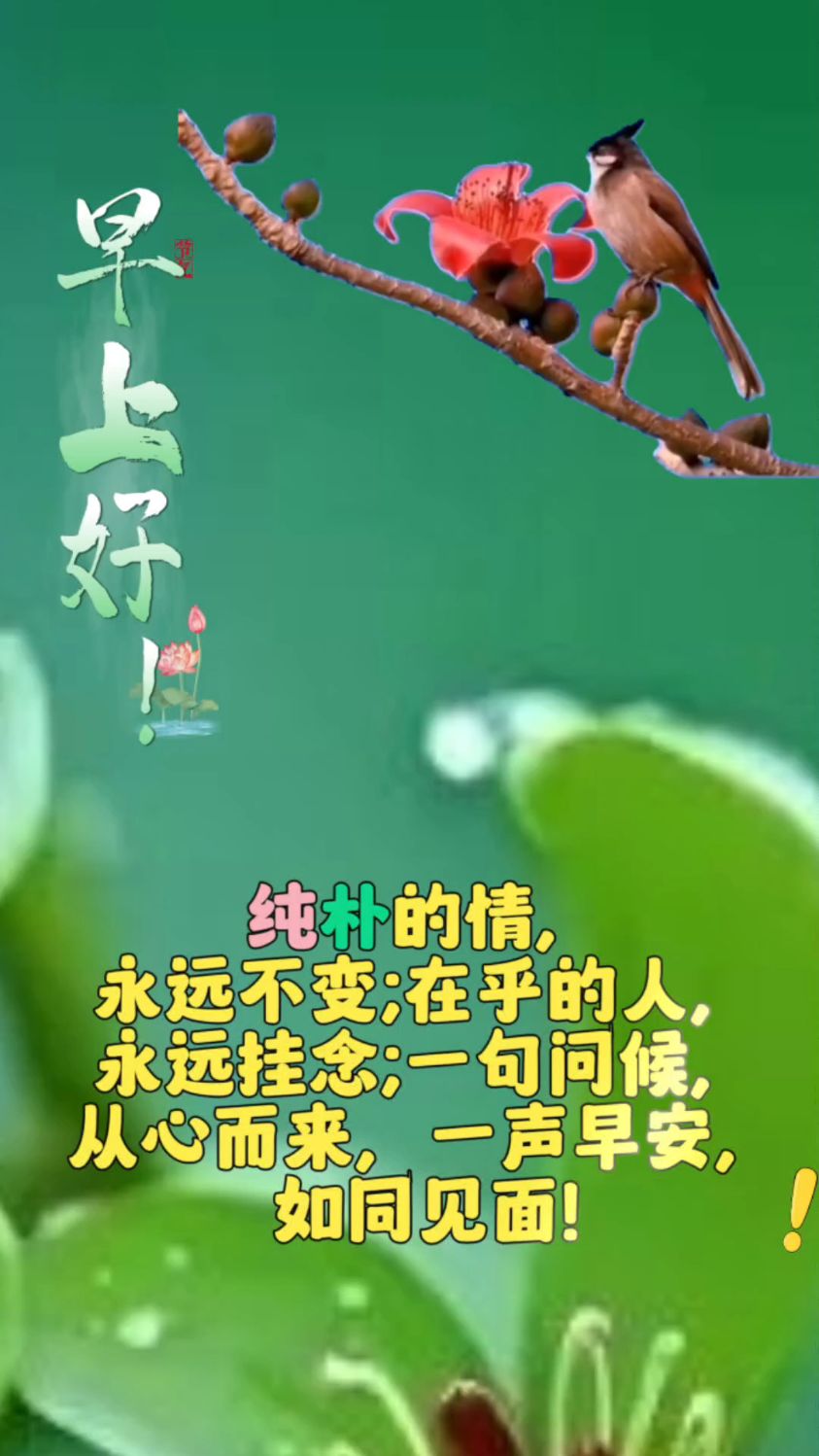 早上好!清凉夏天
