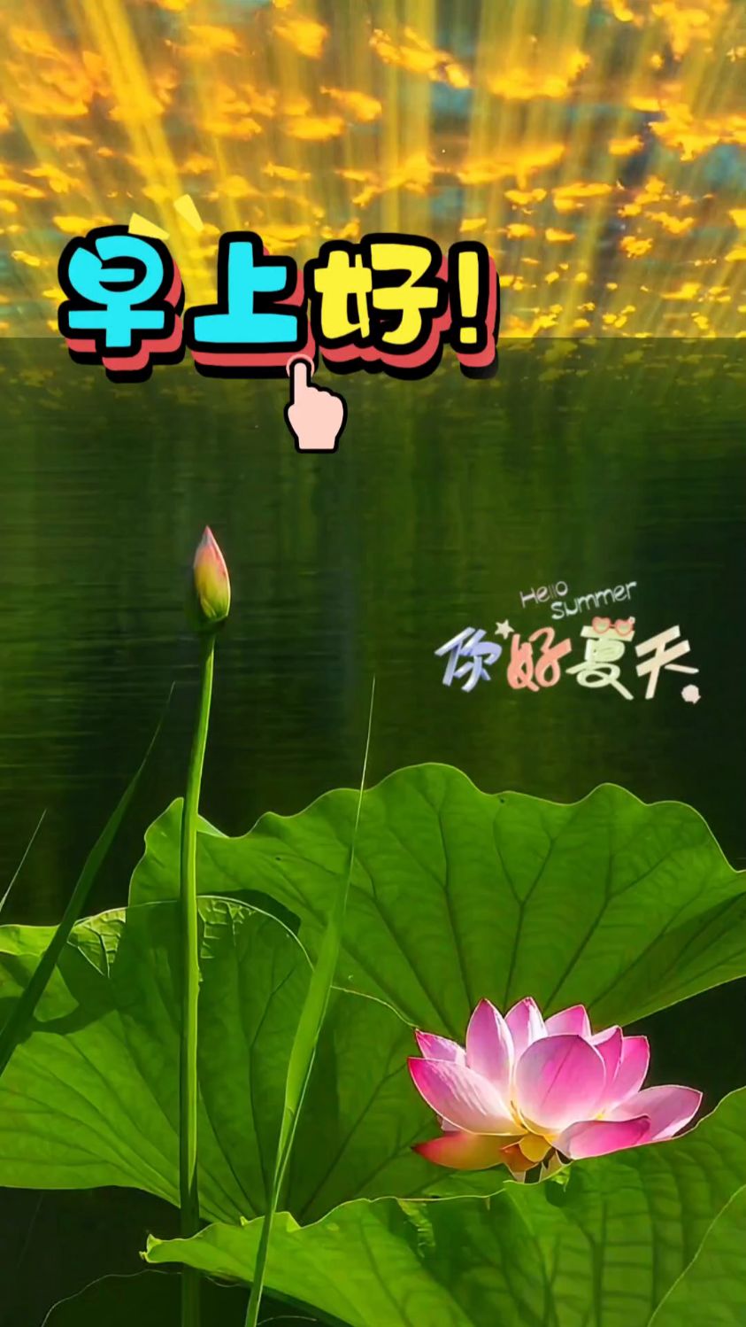 早上好!分享夏天