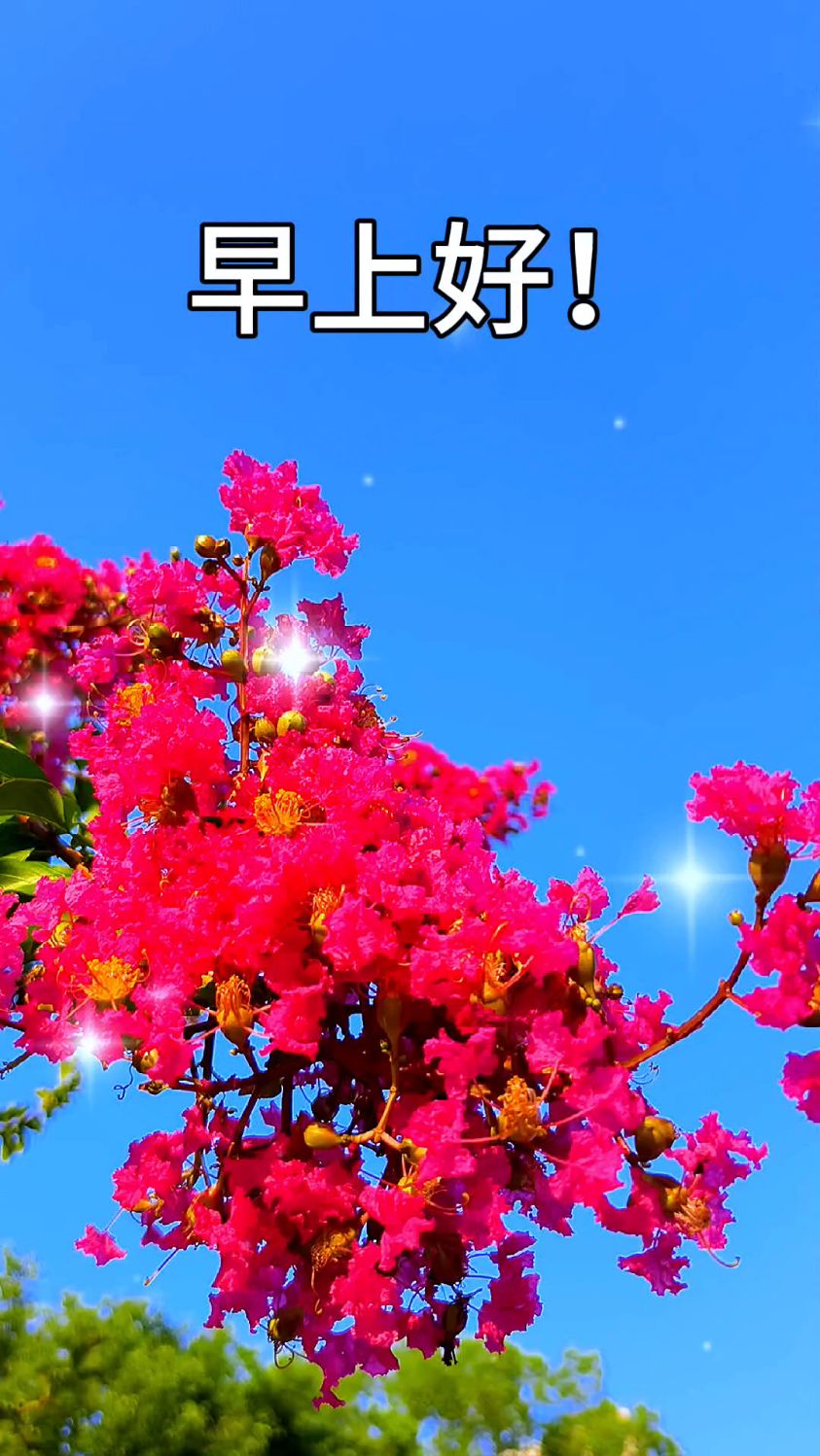 早上好!夏天的快乐