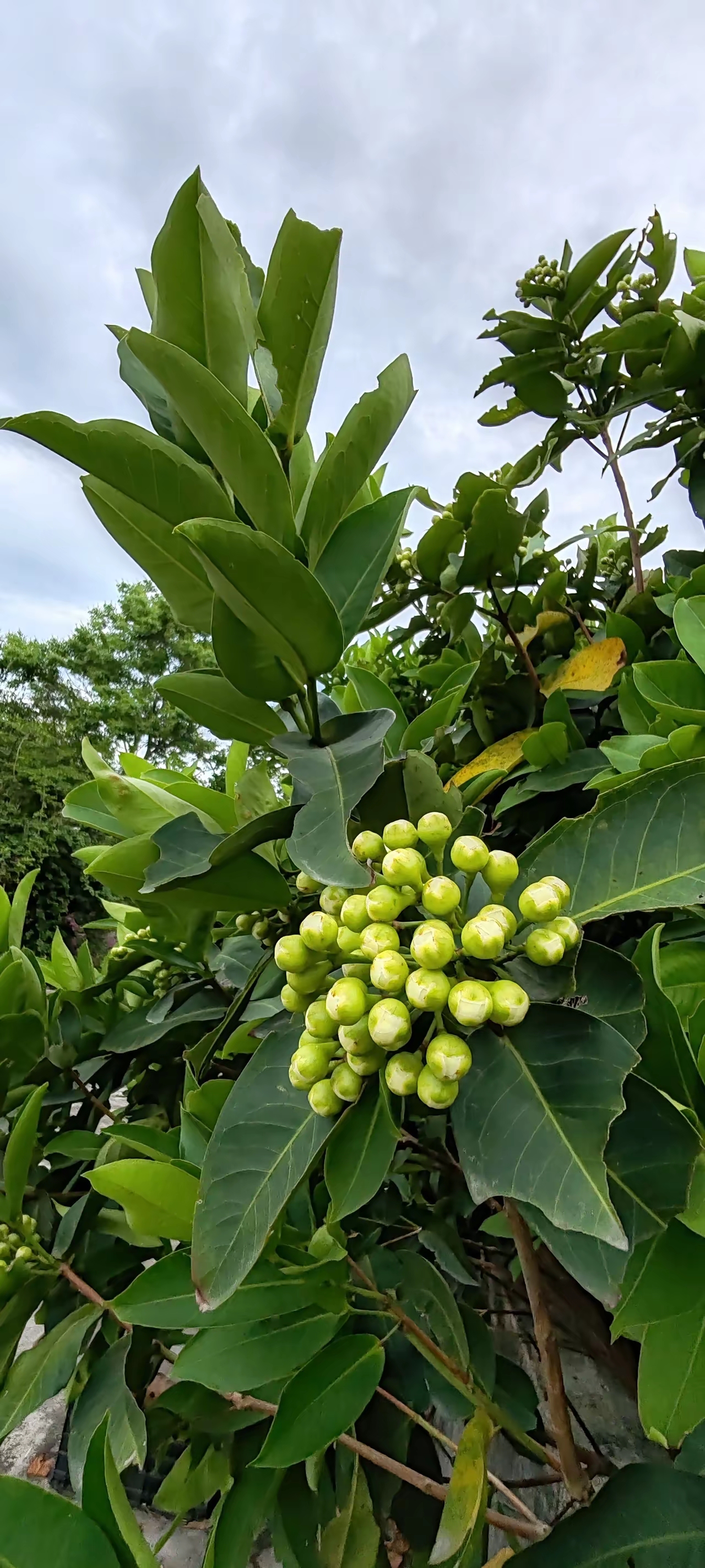 他说孩子现在大了,让我别再打工了,赶紧自己创业赚钱