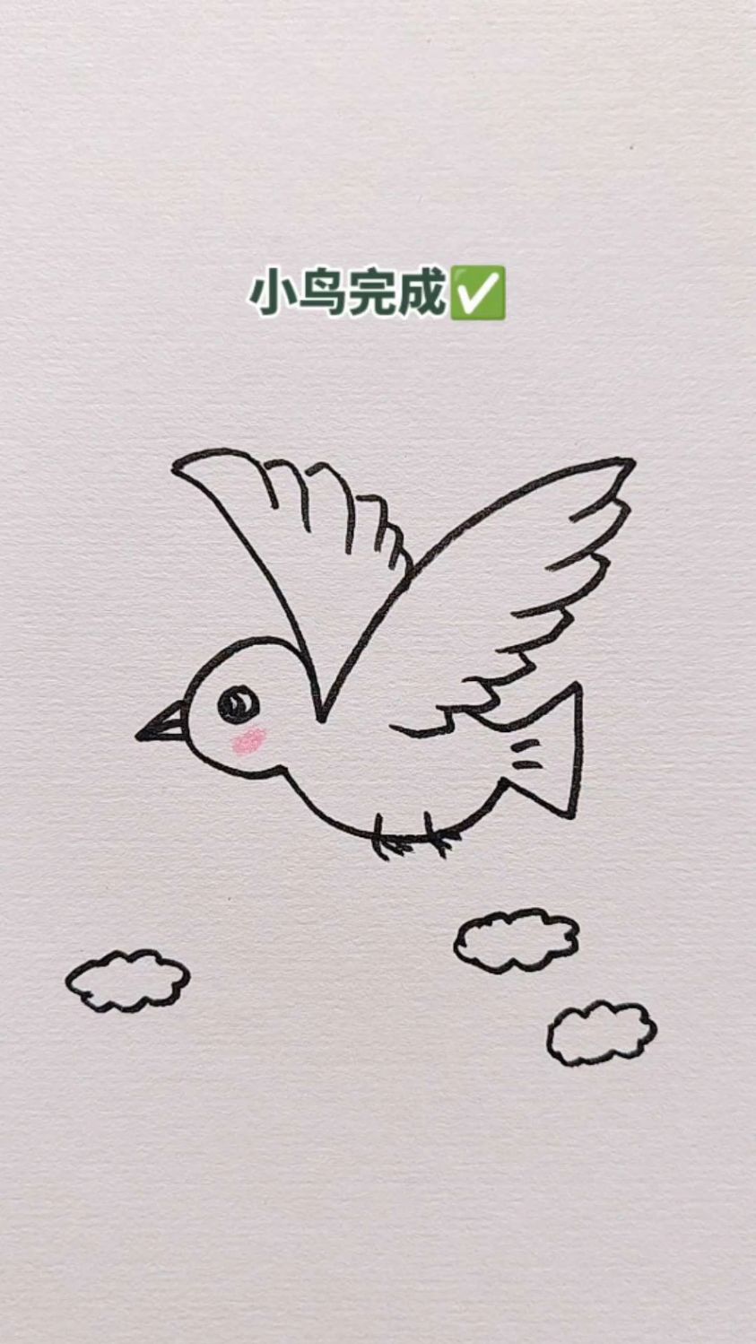 用一个大v画小鸟!