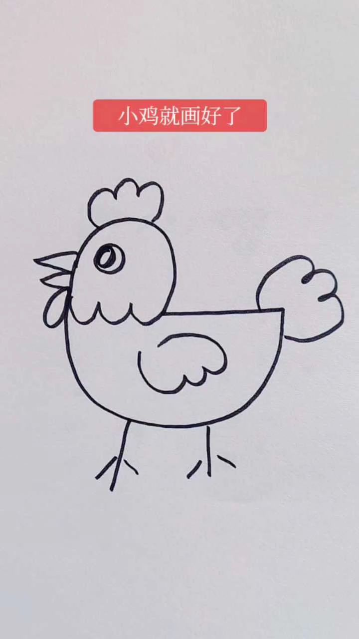我们来画小鸡呀!