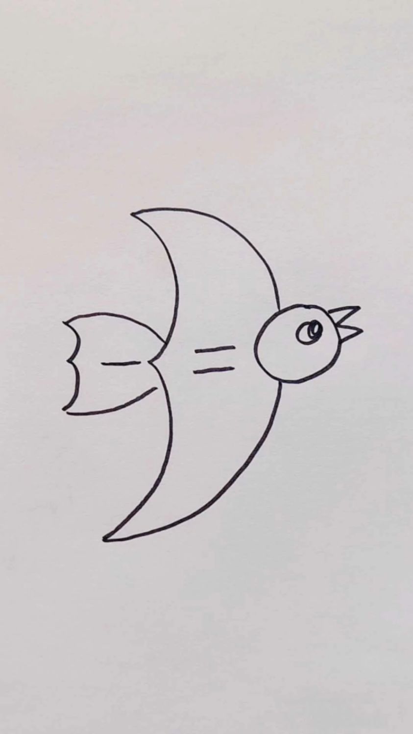 一起来画小鸟吧!