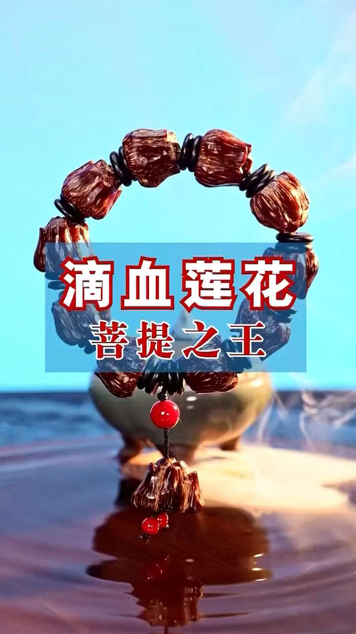 滴血莲花菩提,形状如莲花般,盘玩后,颜色鲜红,颗颗饱满红润