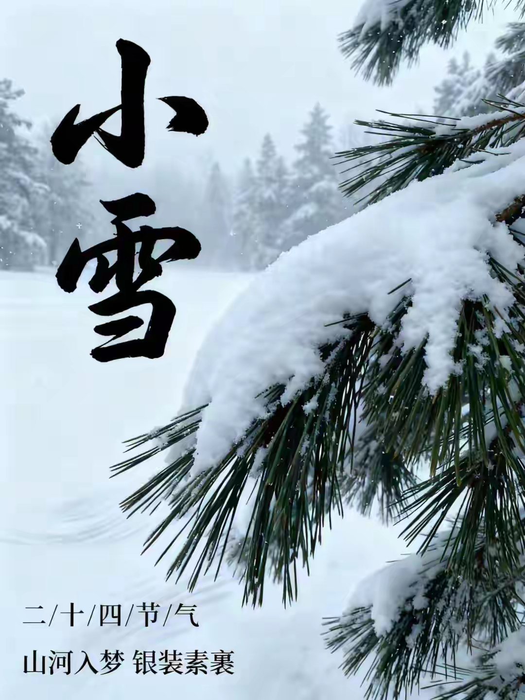 诗歌小雪至愿你三餐暖四季安