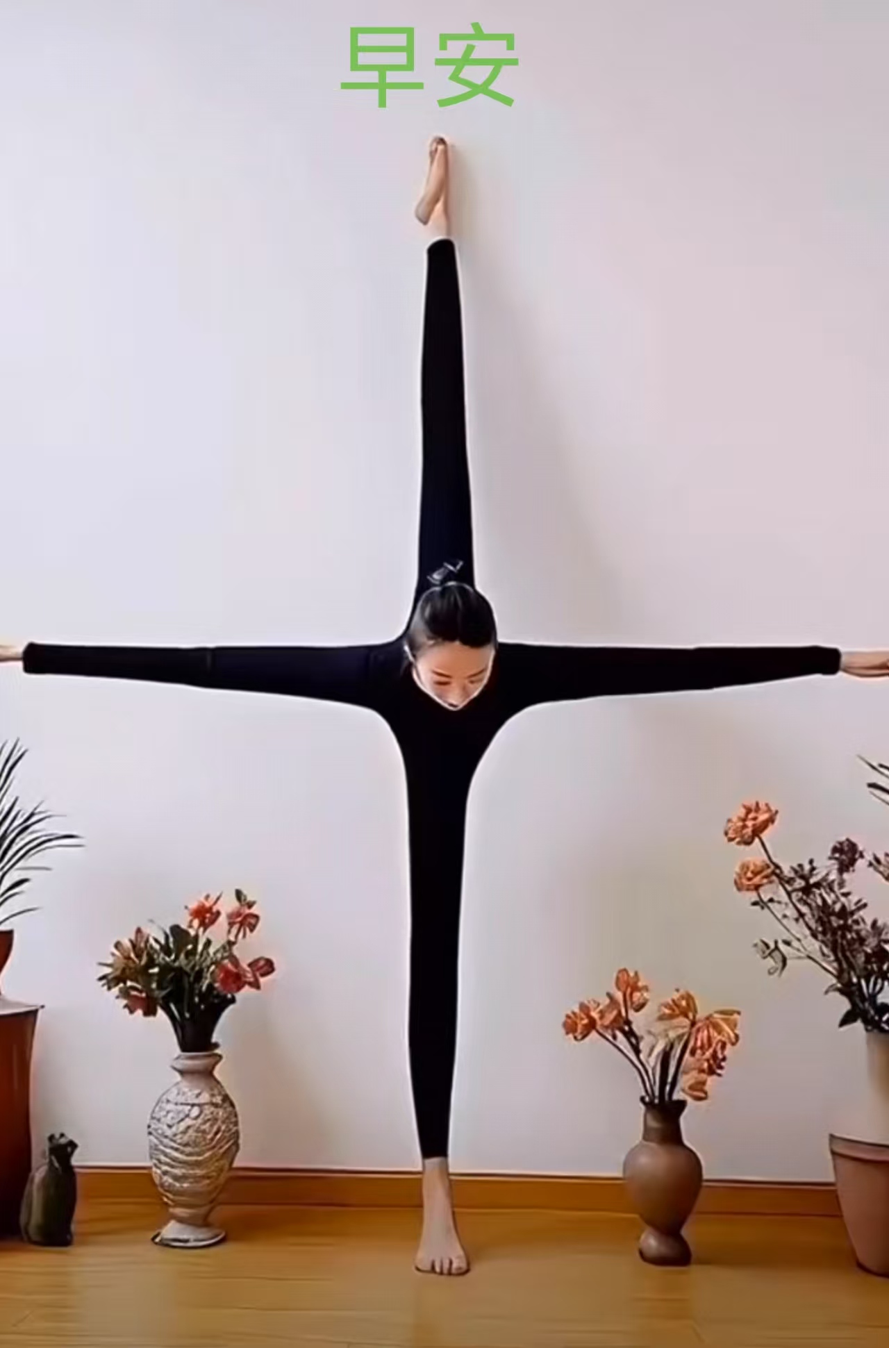 两种取势,两种标准,两种结果,两种完全商心慈一字马抬腿动作瑜伽孔雀