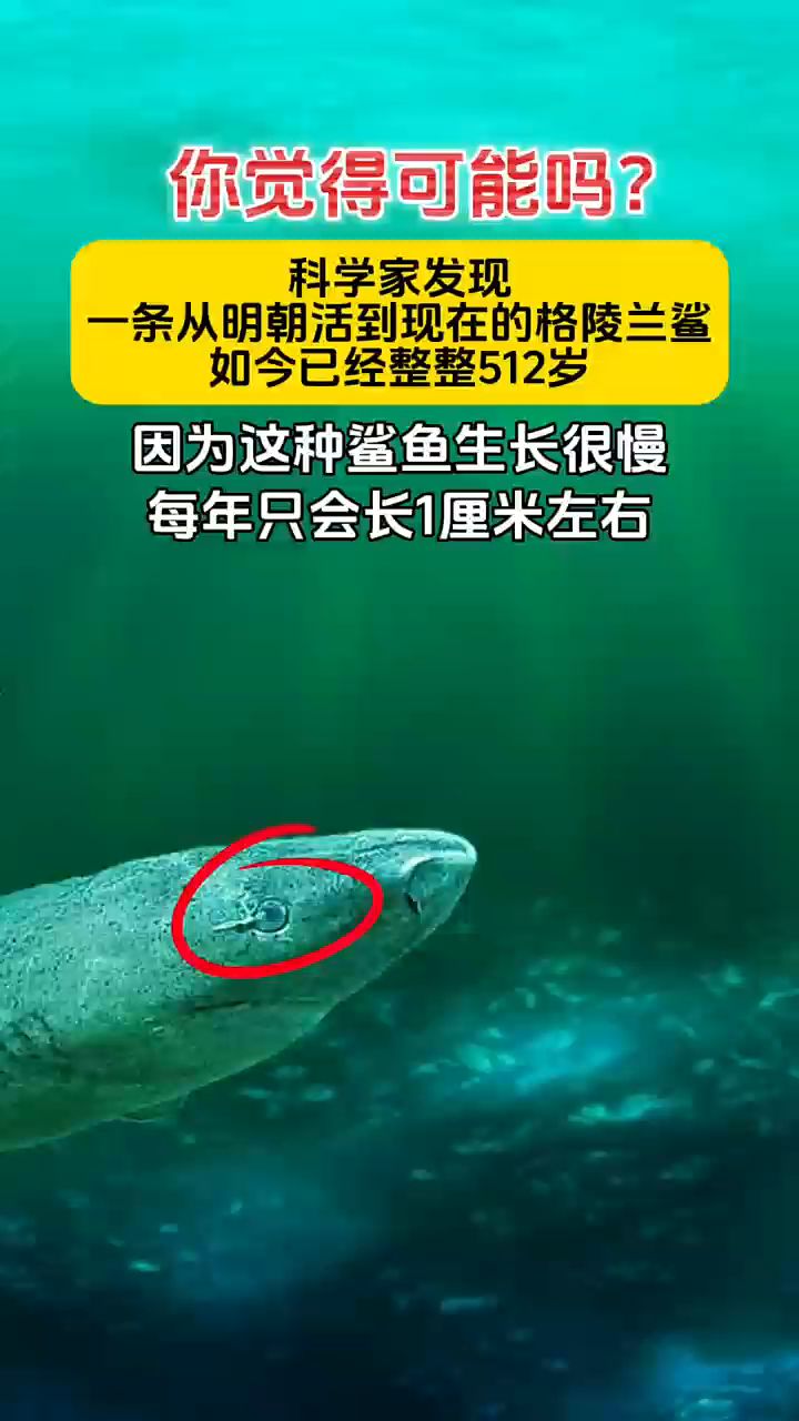 你觉得可能吗?科学家发现一条从明朝活到现在的格陵兰鲨