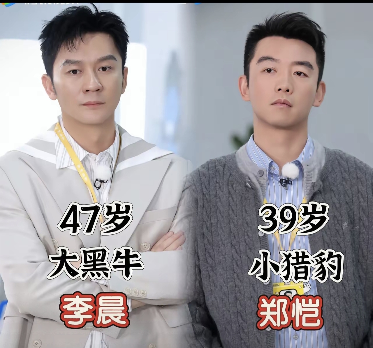 大家都在讨论,李晨"大黑牛"般的力量,郑恺"小猎豹"般的速度,是不是都