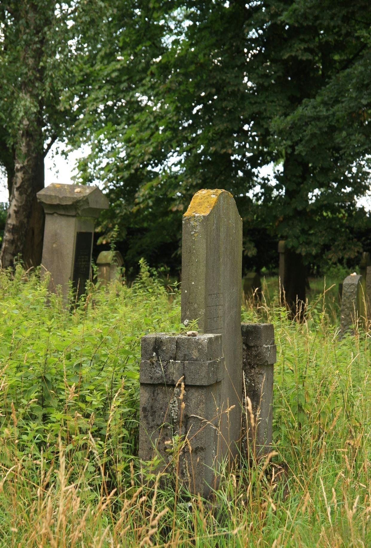 上海50岁大妈深夜约会男顾客,竟被带去坟地,还被打断腿!