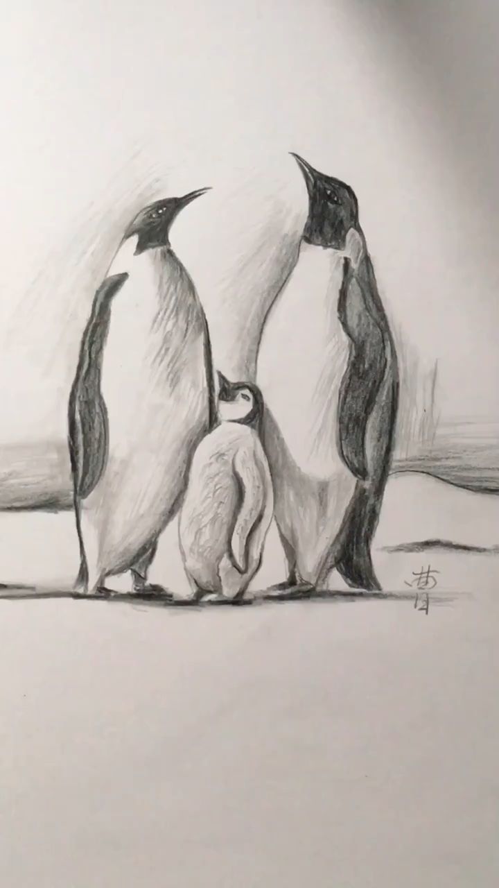 简笔画:简笔画企鹅